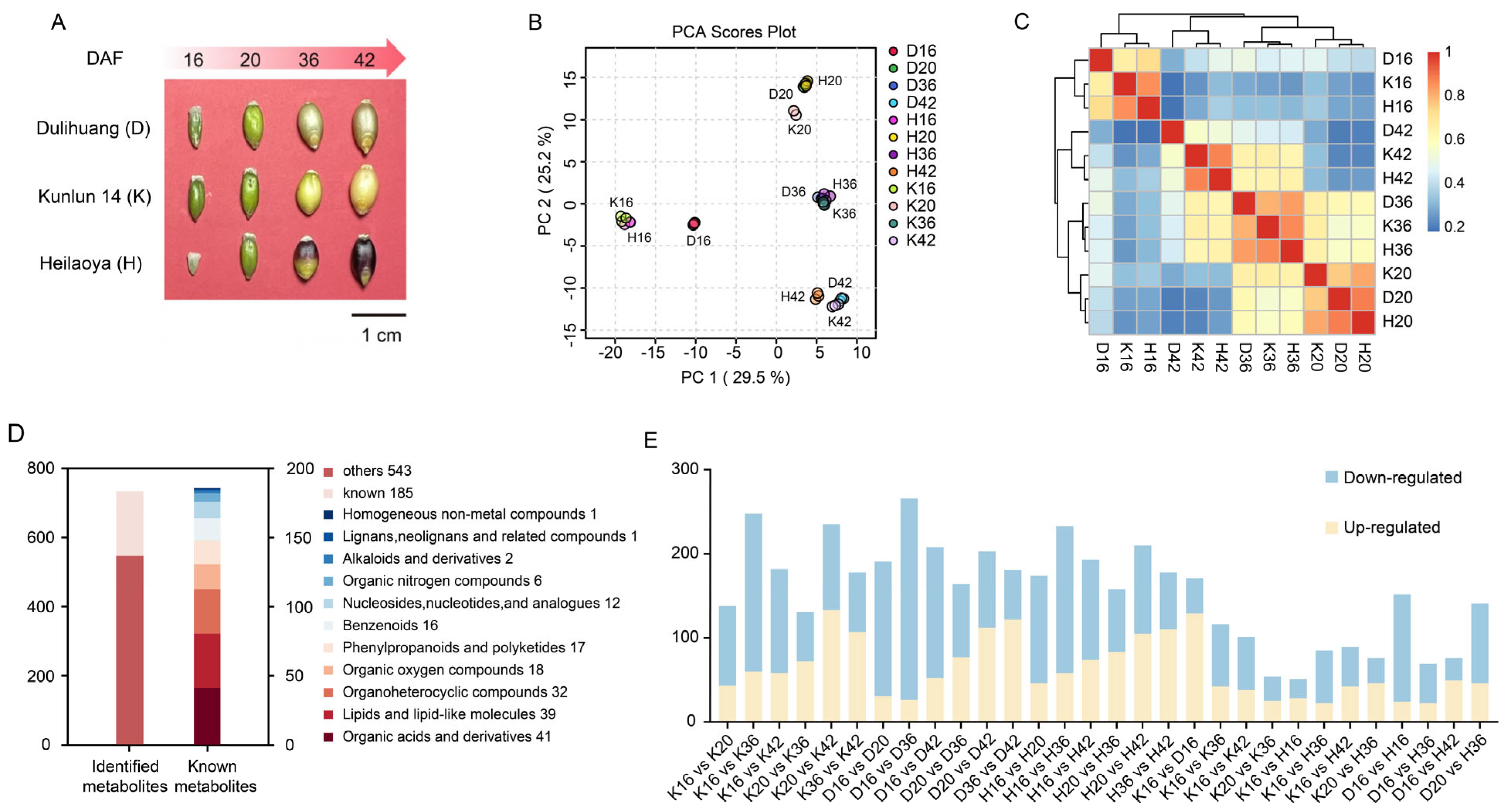 Plants 14 01946 g001