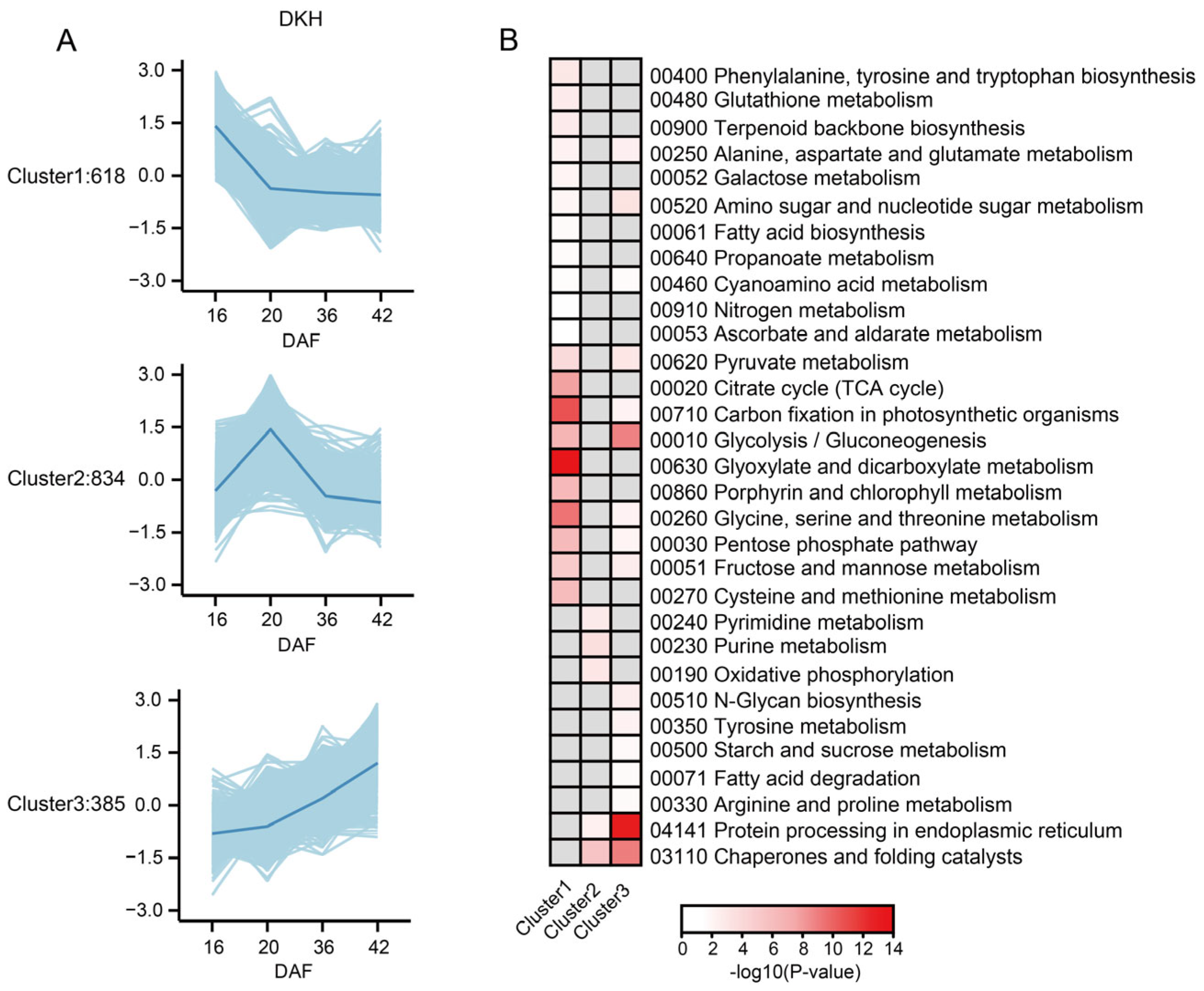 Plants 14 01946 g005