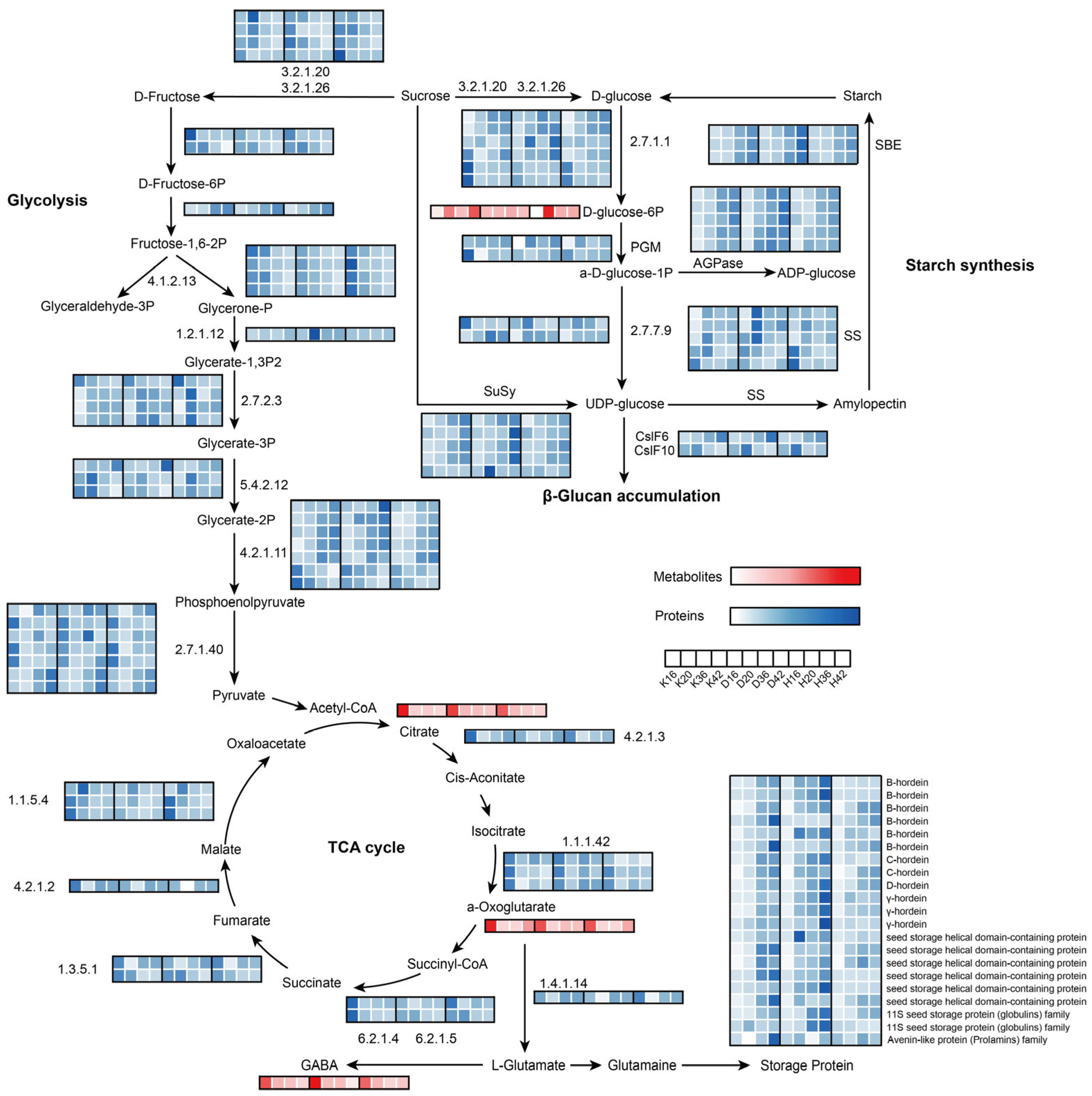 Plants 14 01946 g006
