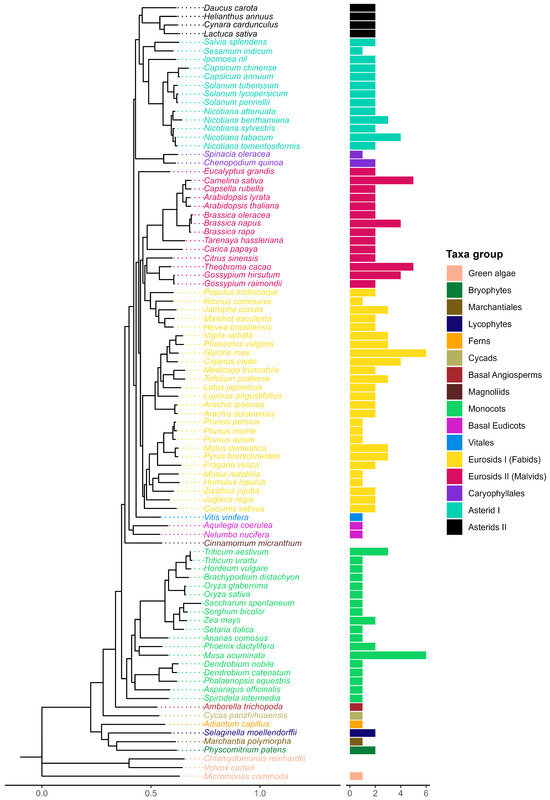 Plants 14 01952 g002