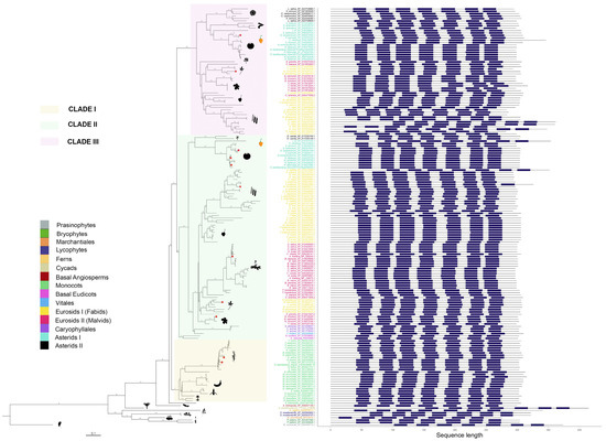 Plants 14 01952 g003