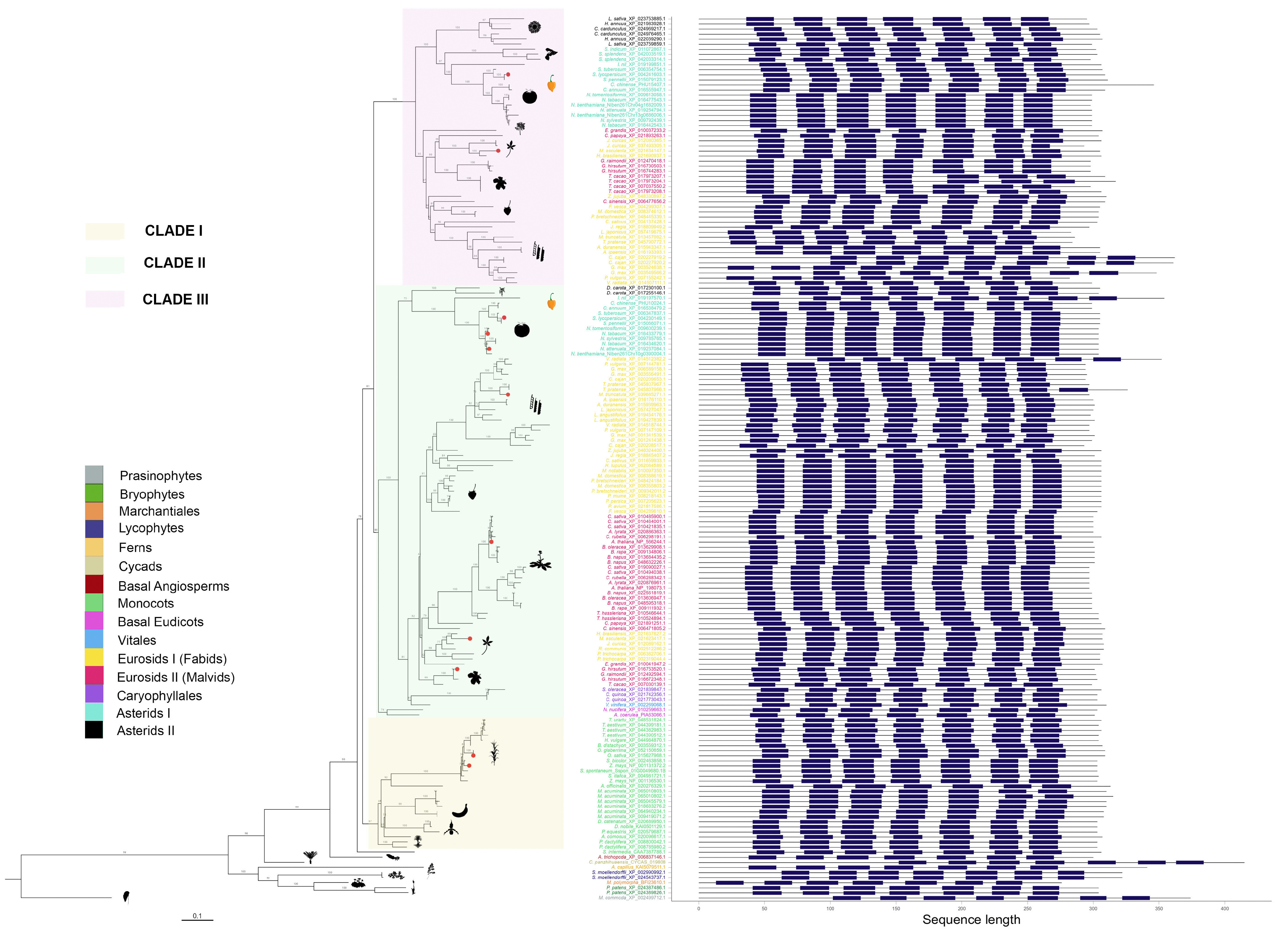 Plants 14 01952 g003