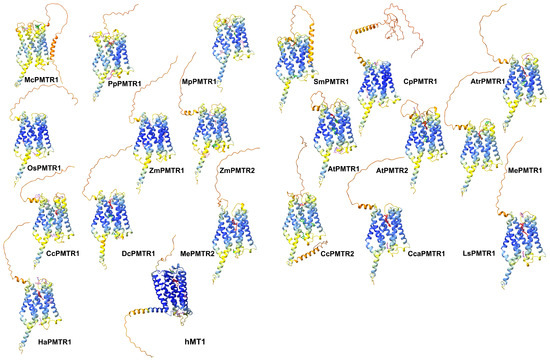 Plants 14 01952 g006