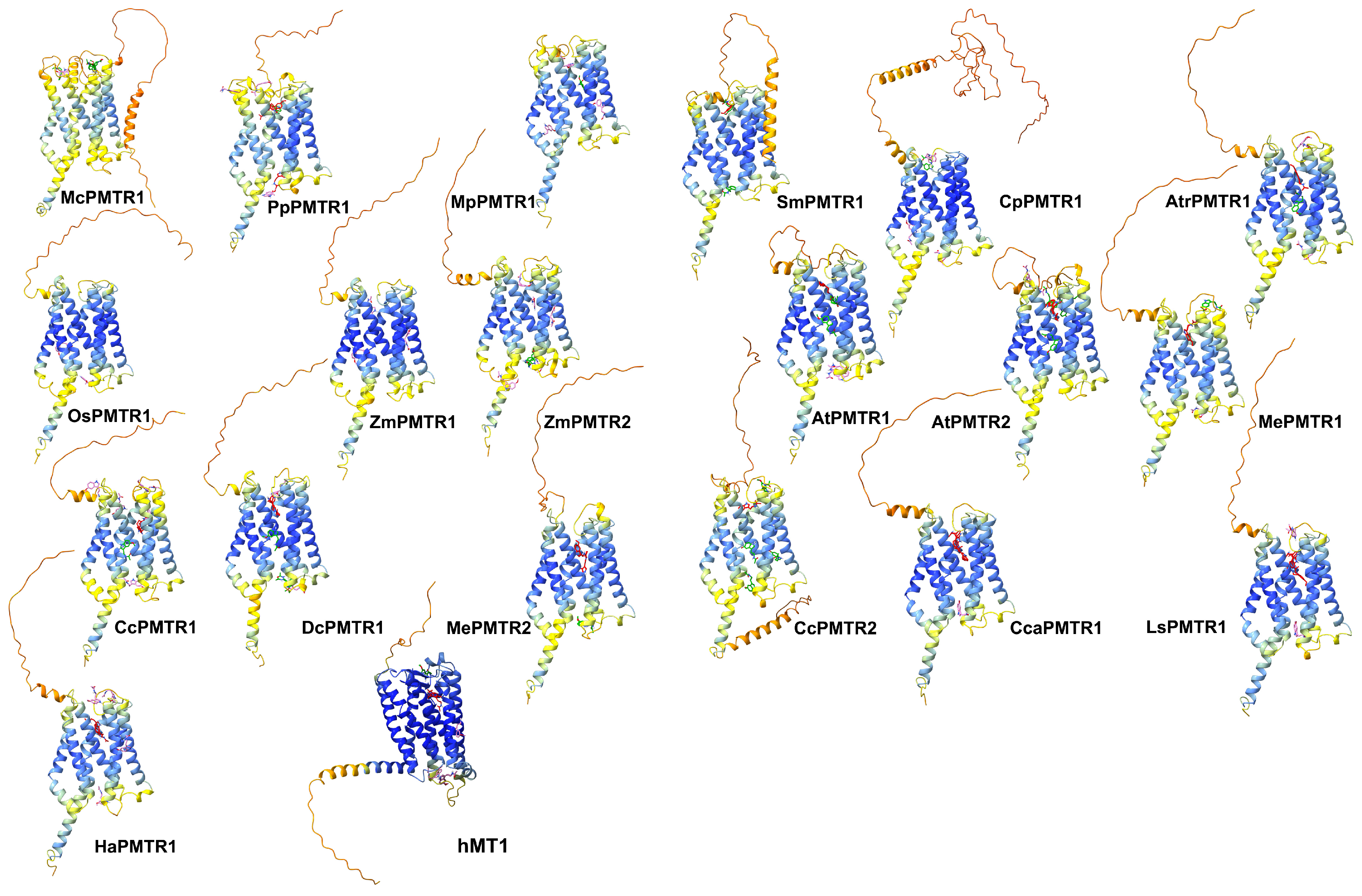 Plants 14 01952 g006