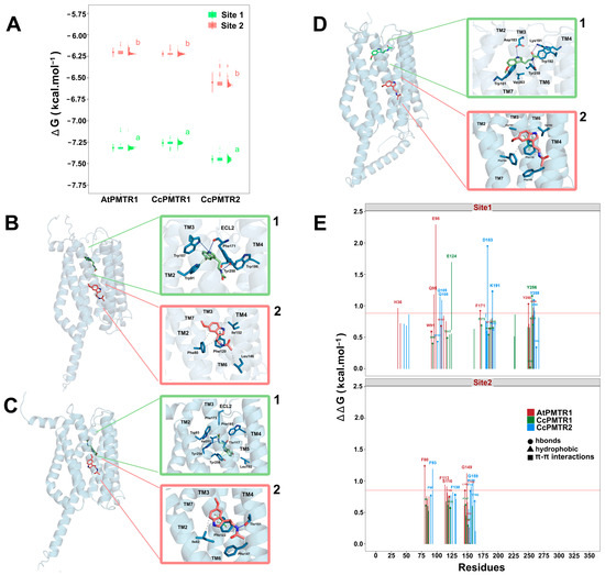 Plants 14 01952 g007