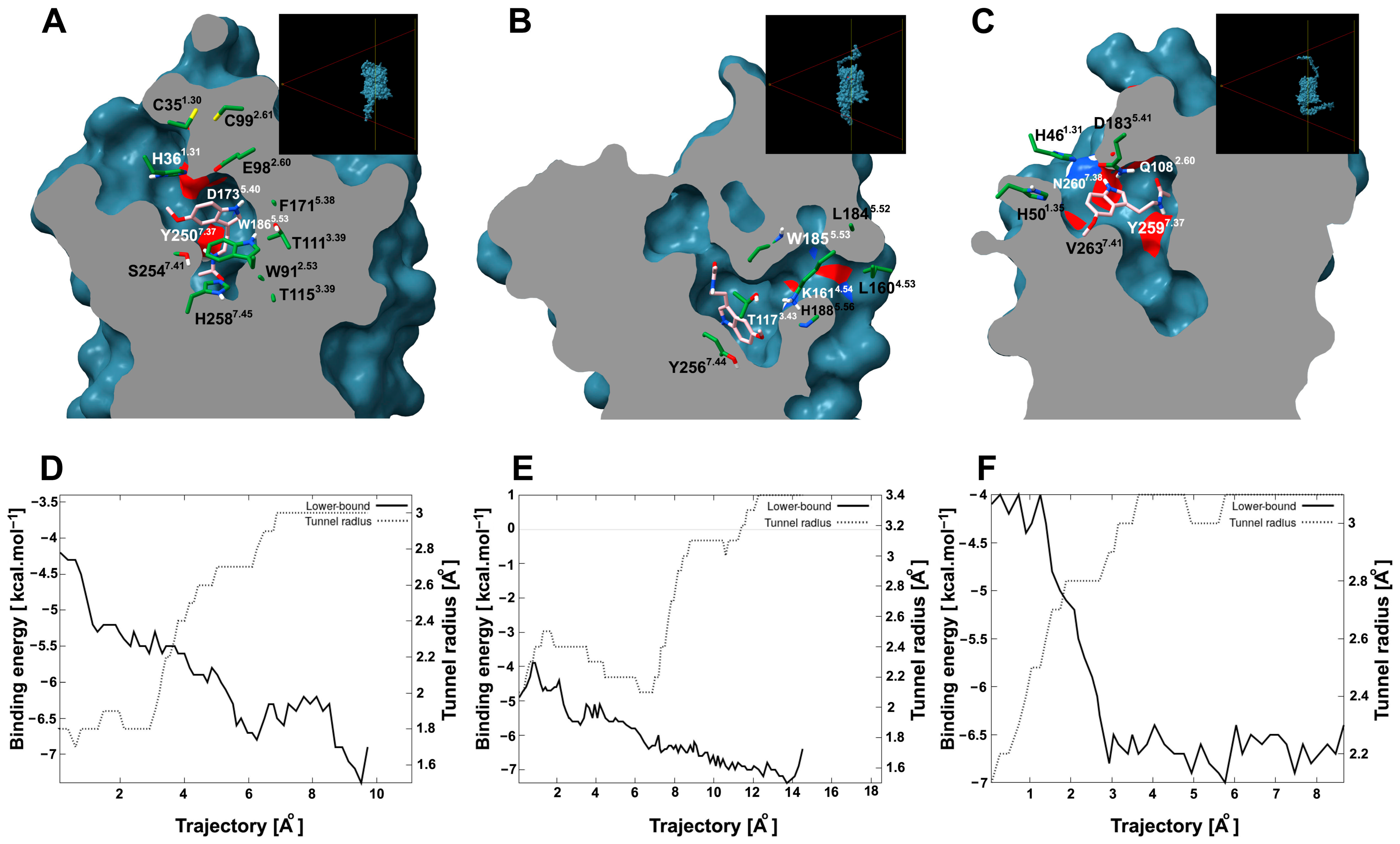 Plants 14 01952 g008