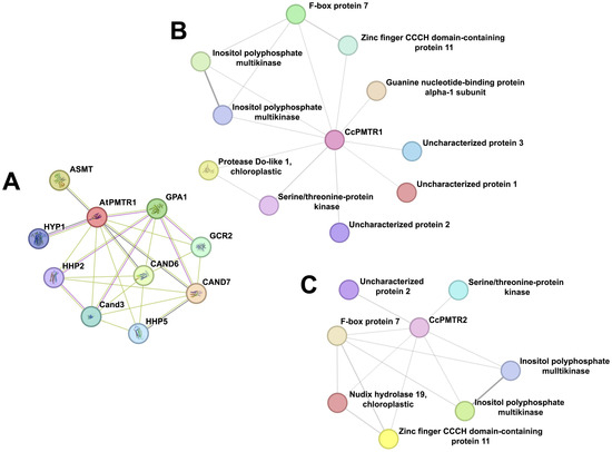 Plants 14 01952 g009
