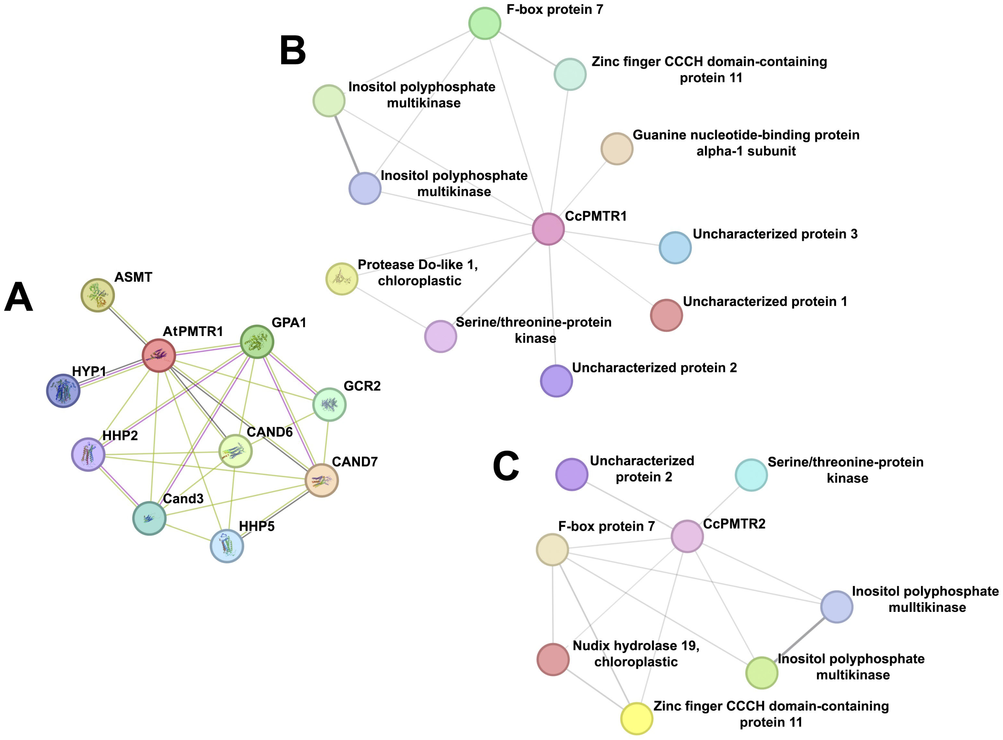 Plants 14 01952 g009