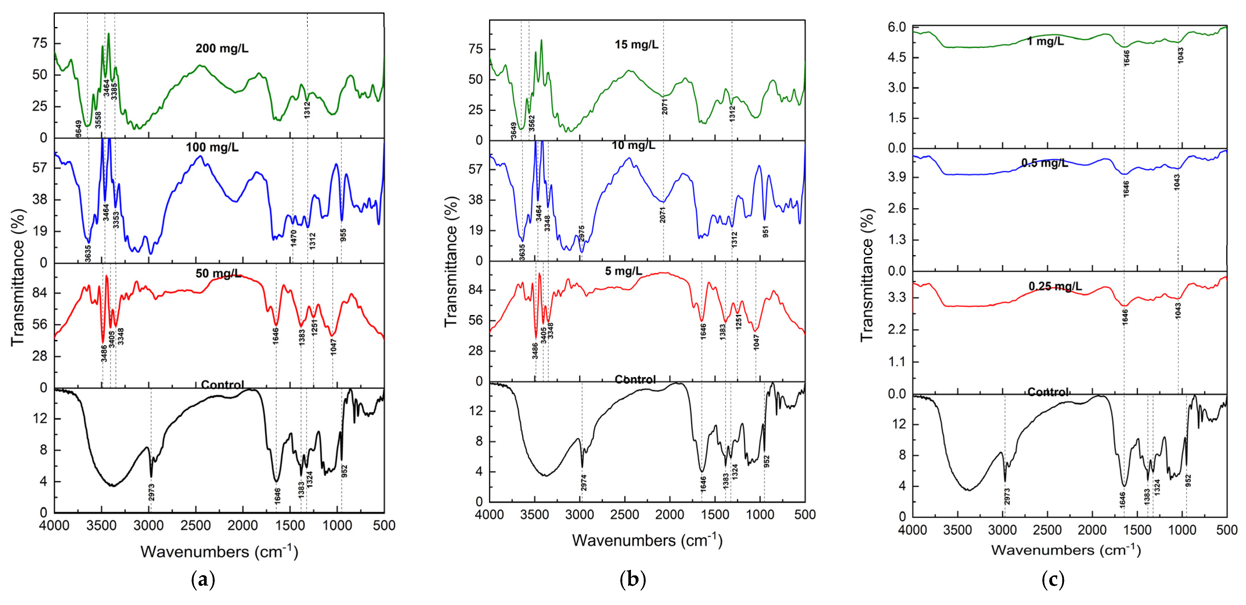 Plants 14 01963 g002