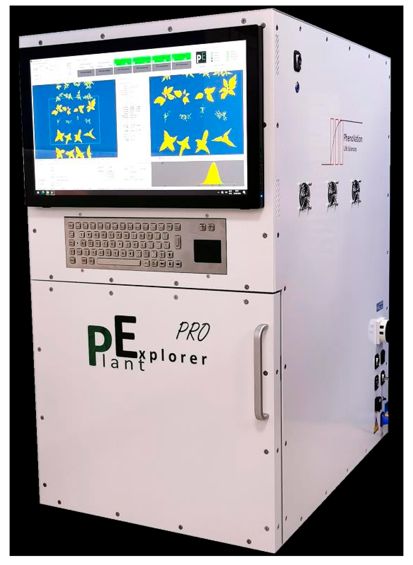 Plants 14 01965 g001