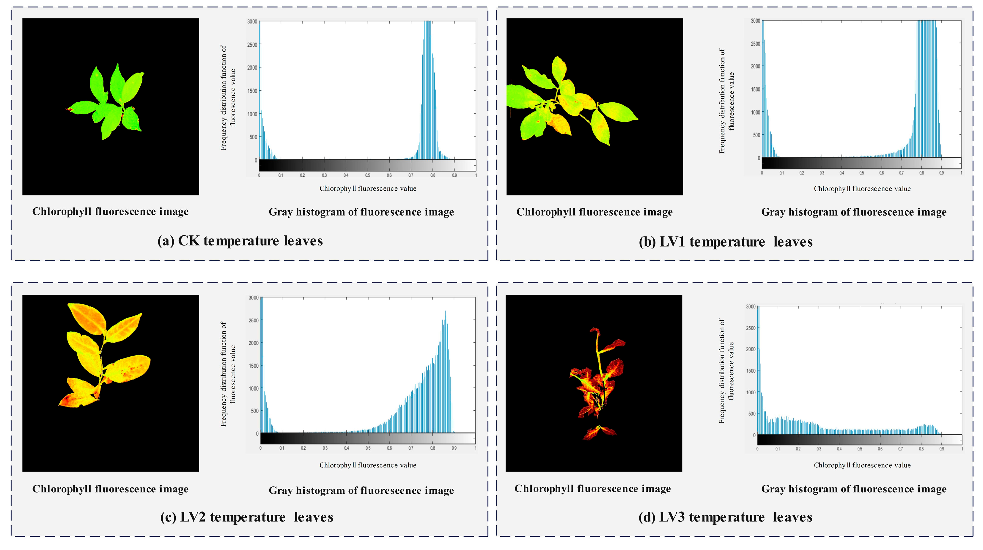 Plants 14 01965 g002