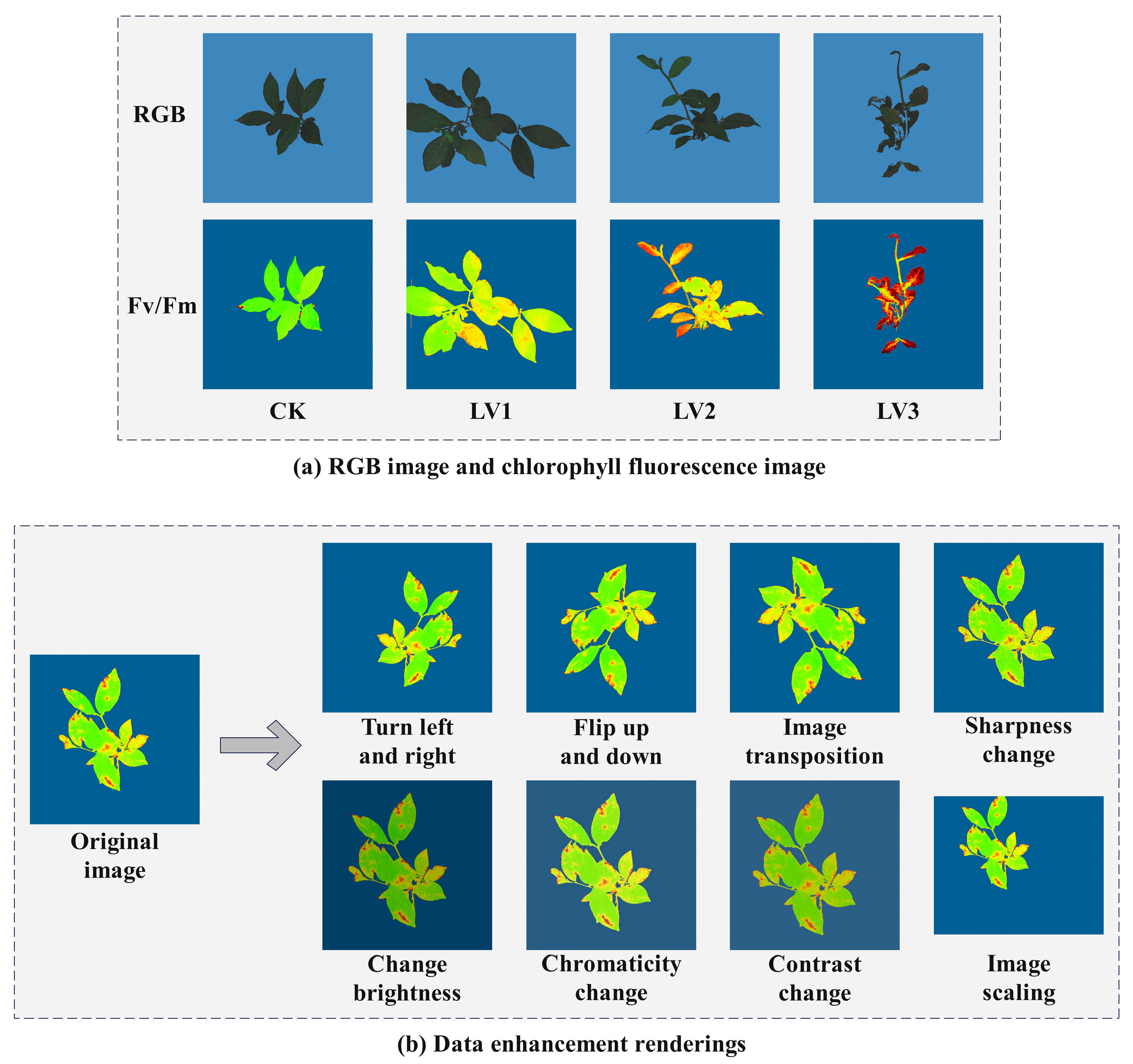 Plants 14 01965 g003