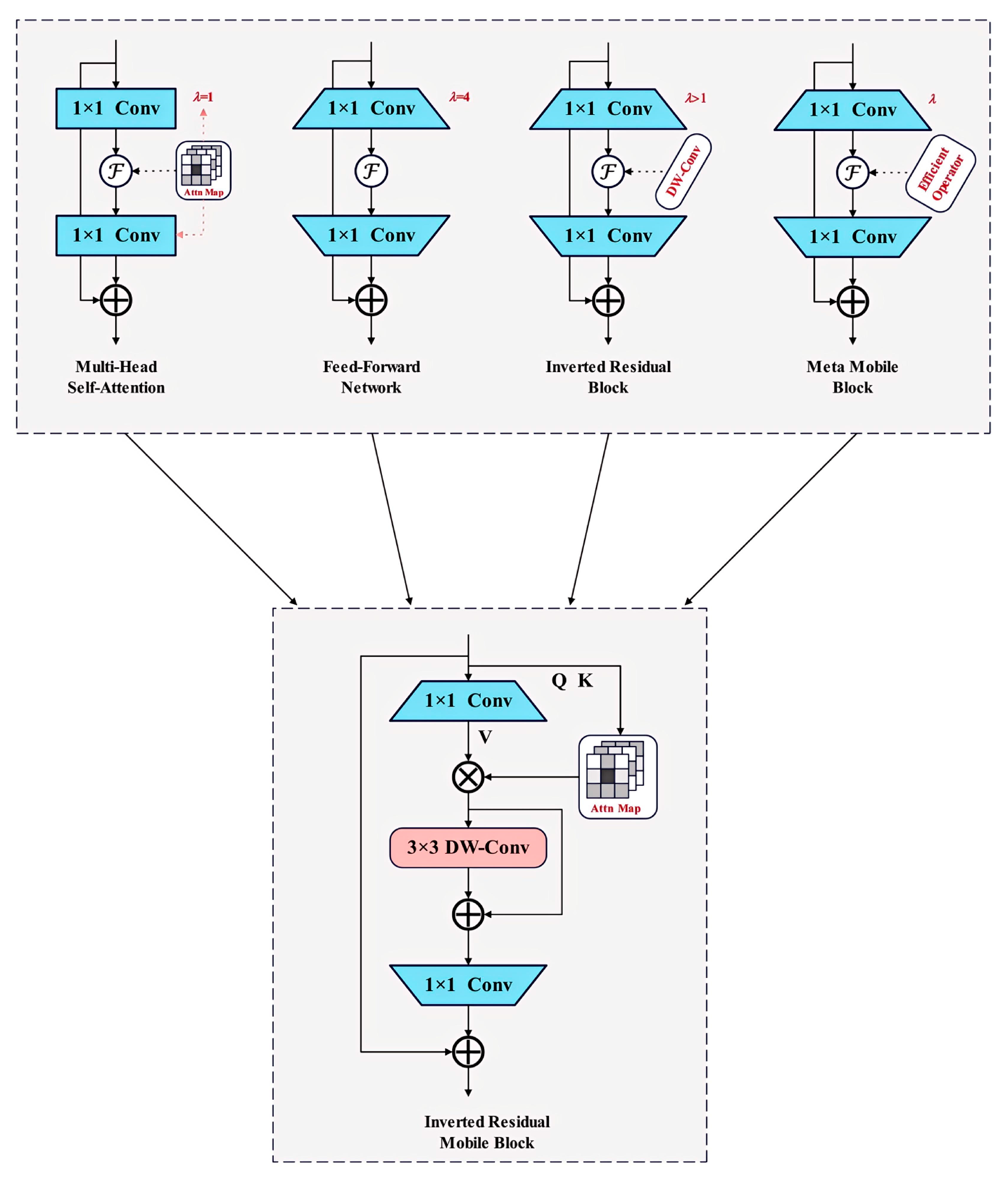 Plants 14 01965 g007