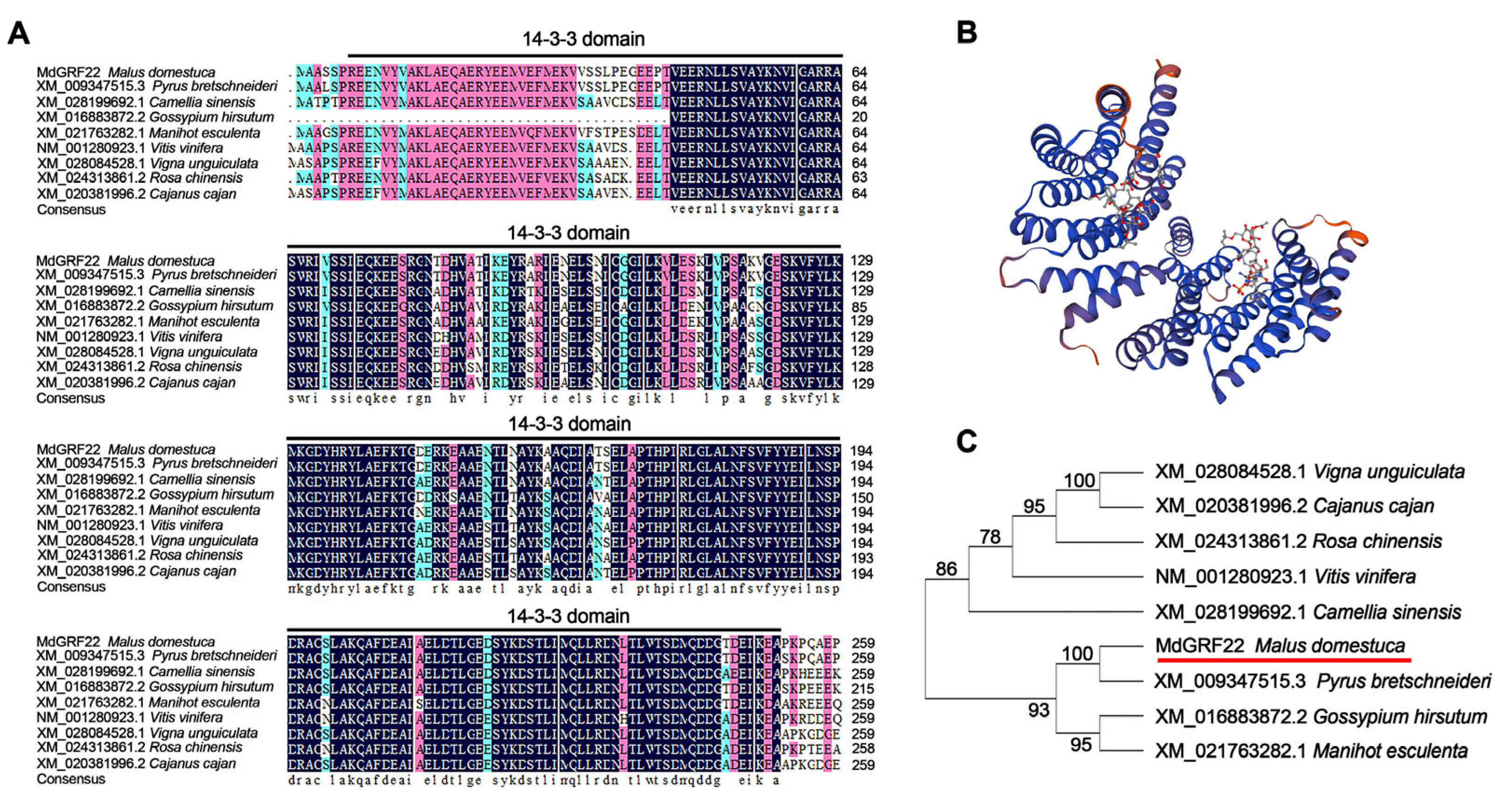 Plants 14 01968 g001