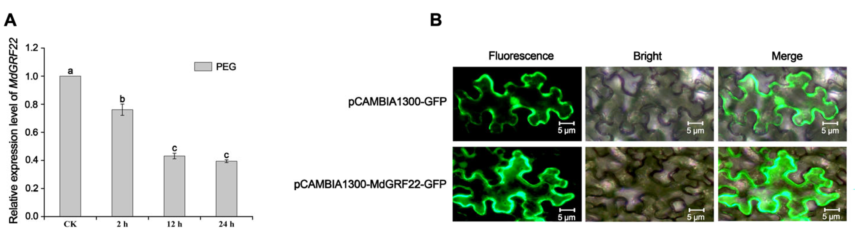 Plants 14 01968 g002