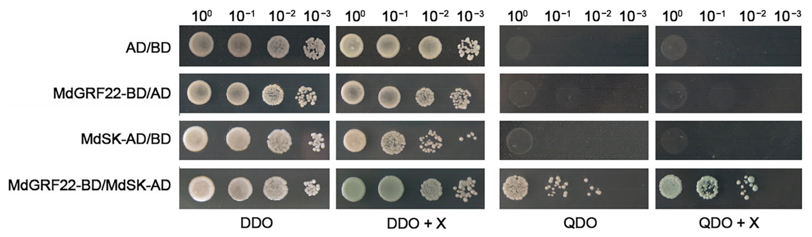 Plants 14 01968 g003