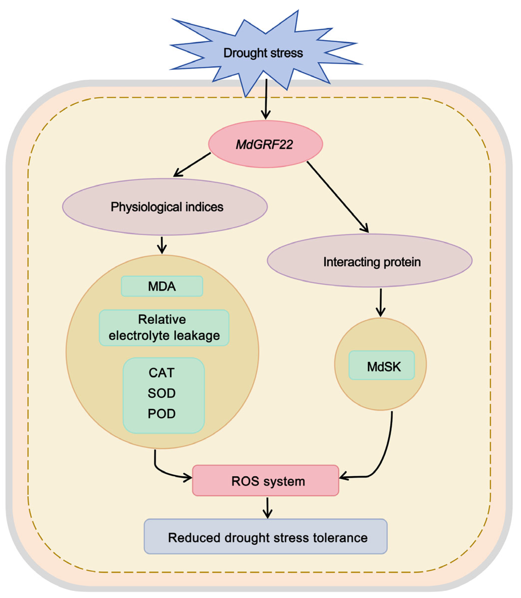 Plants 14 01968 g006