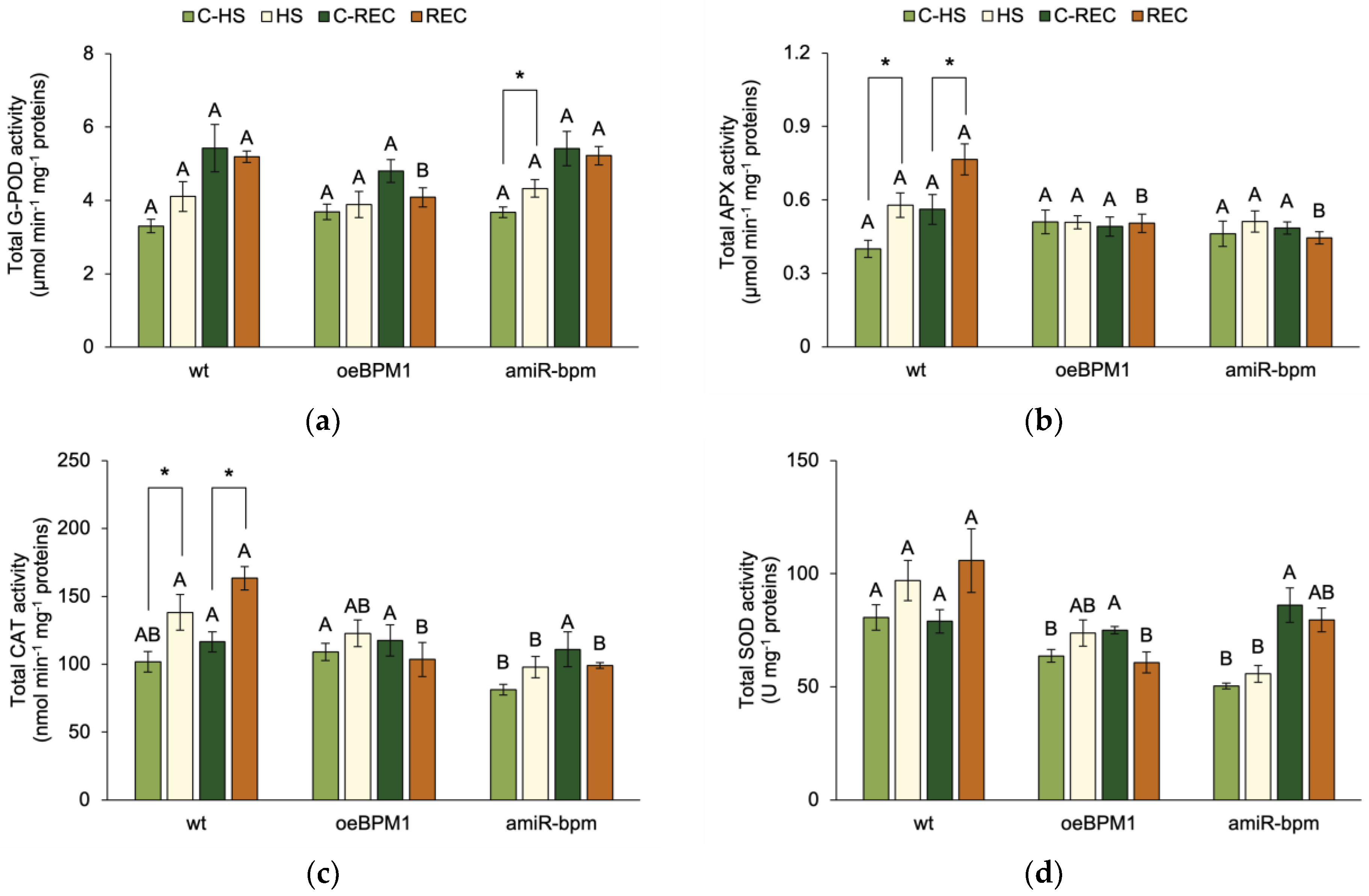 Plants 14 01969 g003