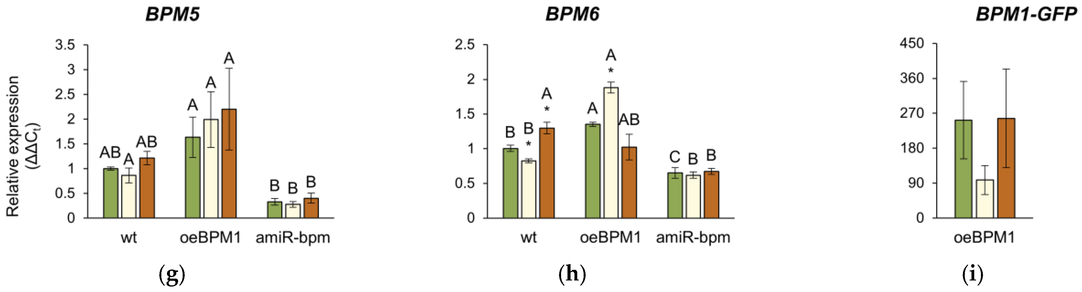 Plants 14 01969 g005b