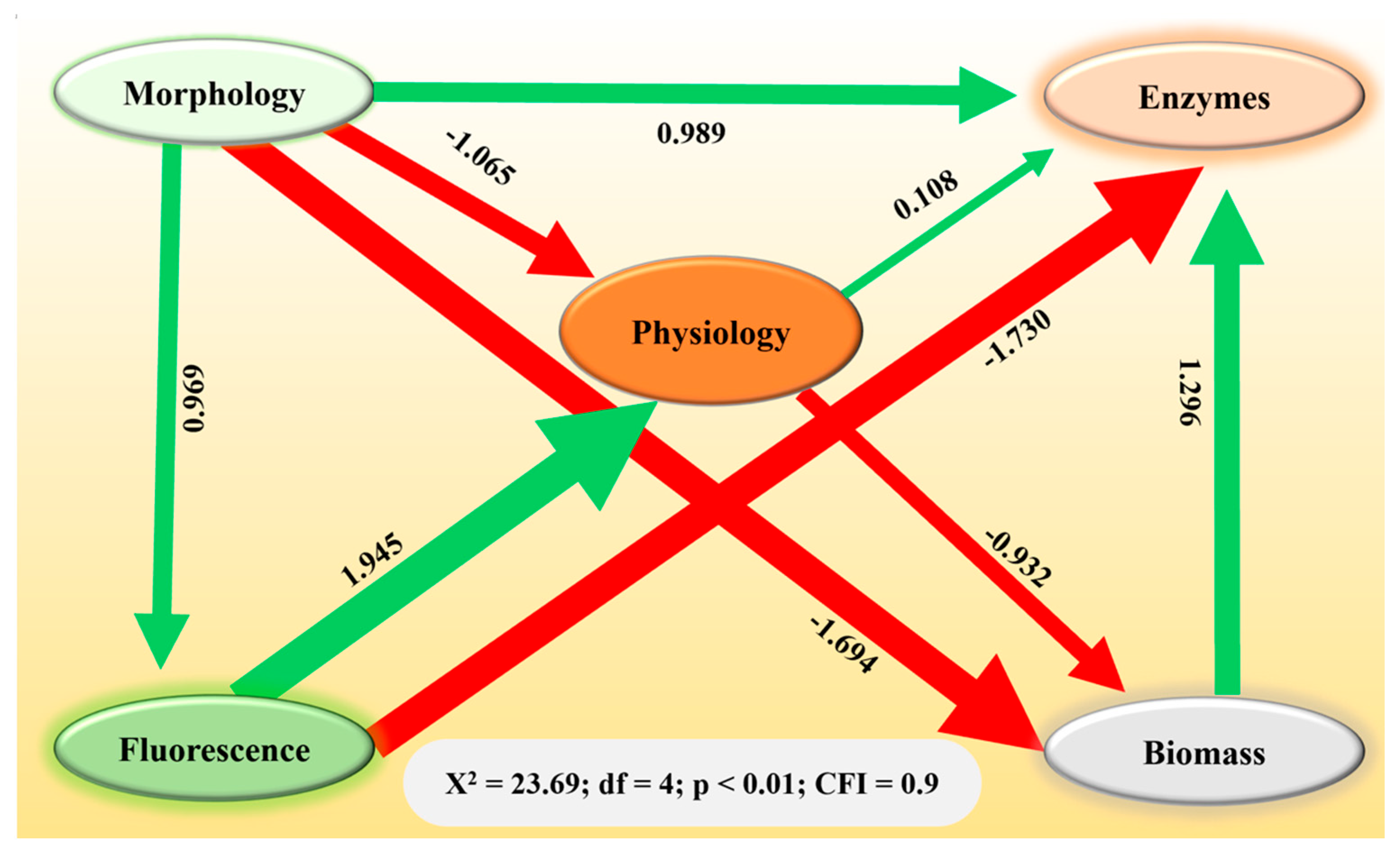 Plants 14 01972 g004
