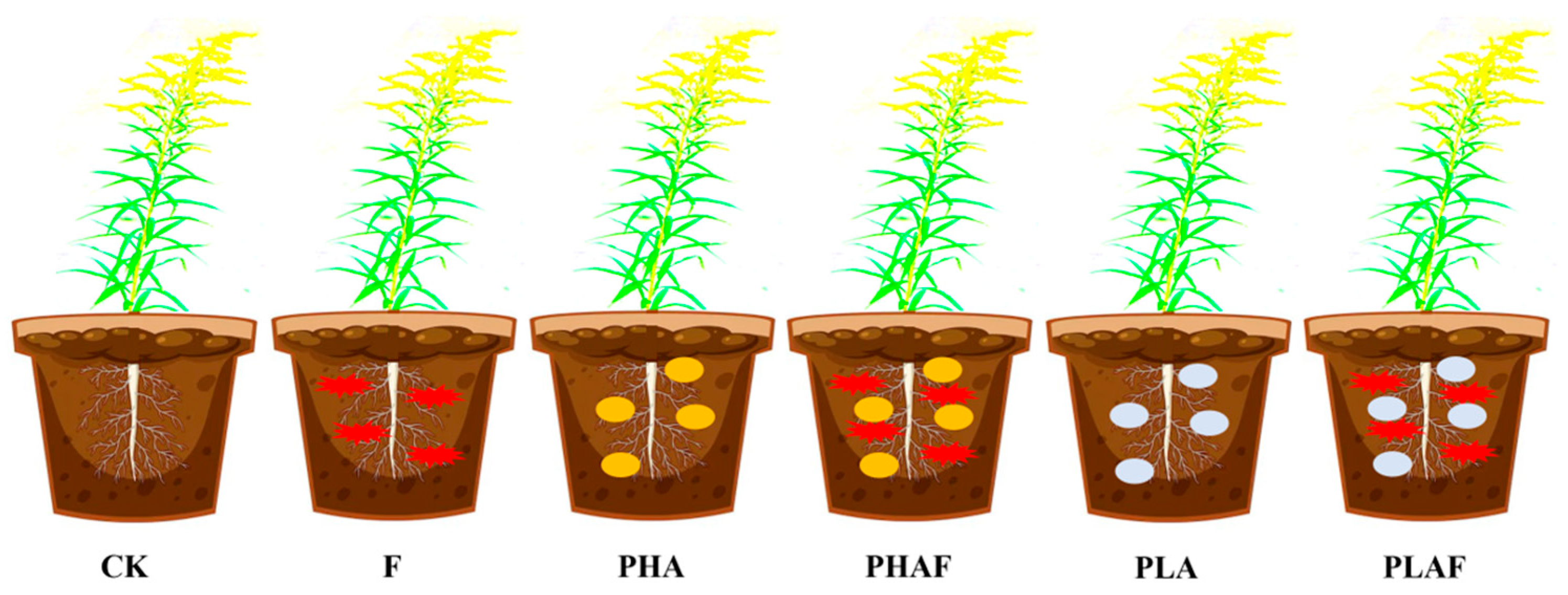 Plants 14 01972 g005