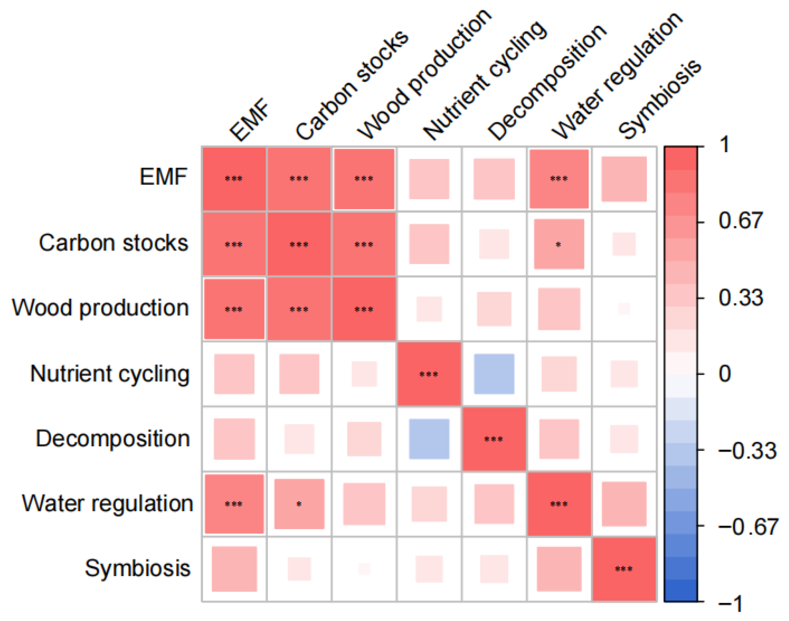 Plants 14 01973 g003