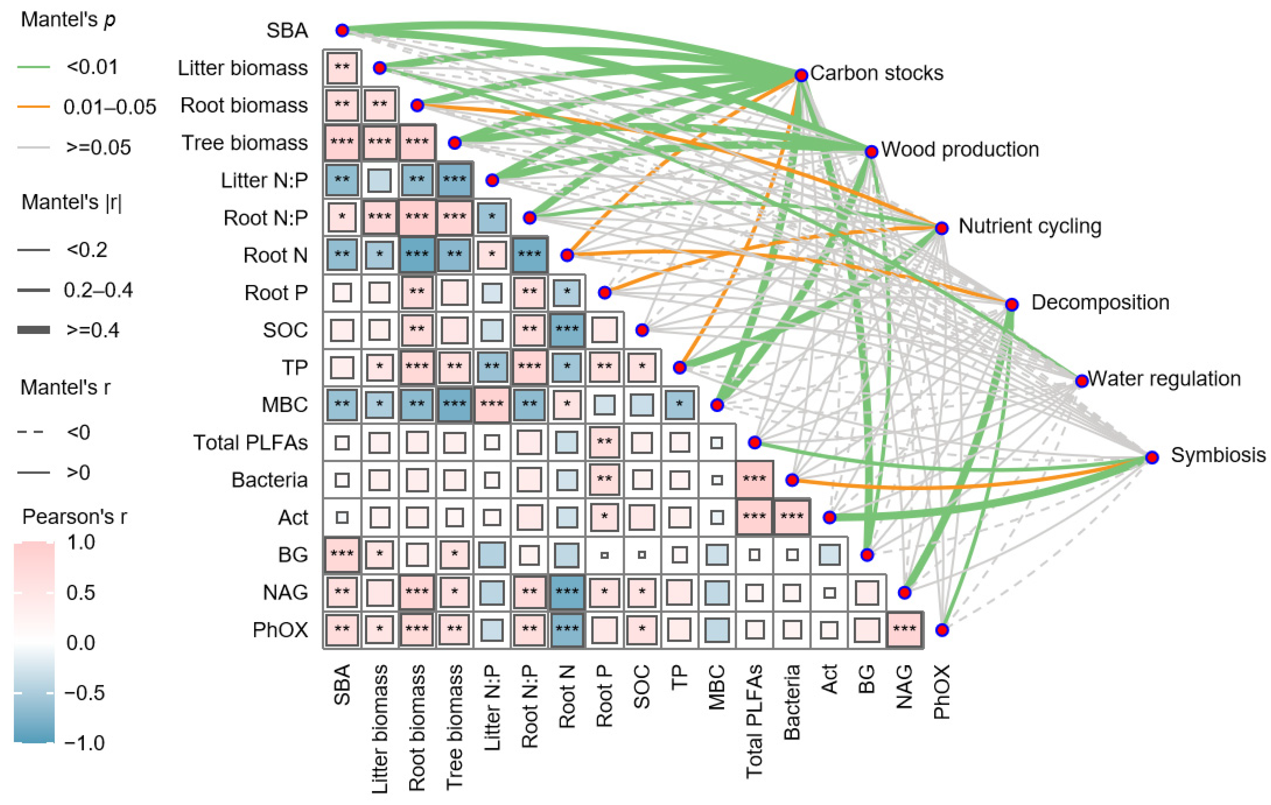 Plants 14 01973 g004