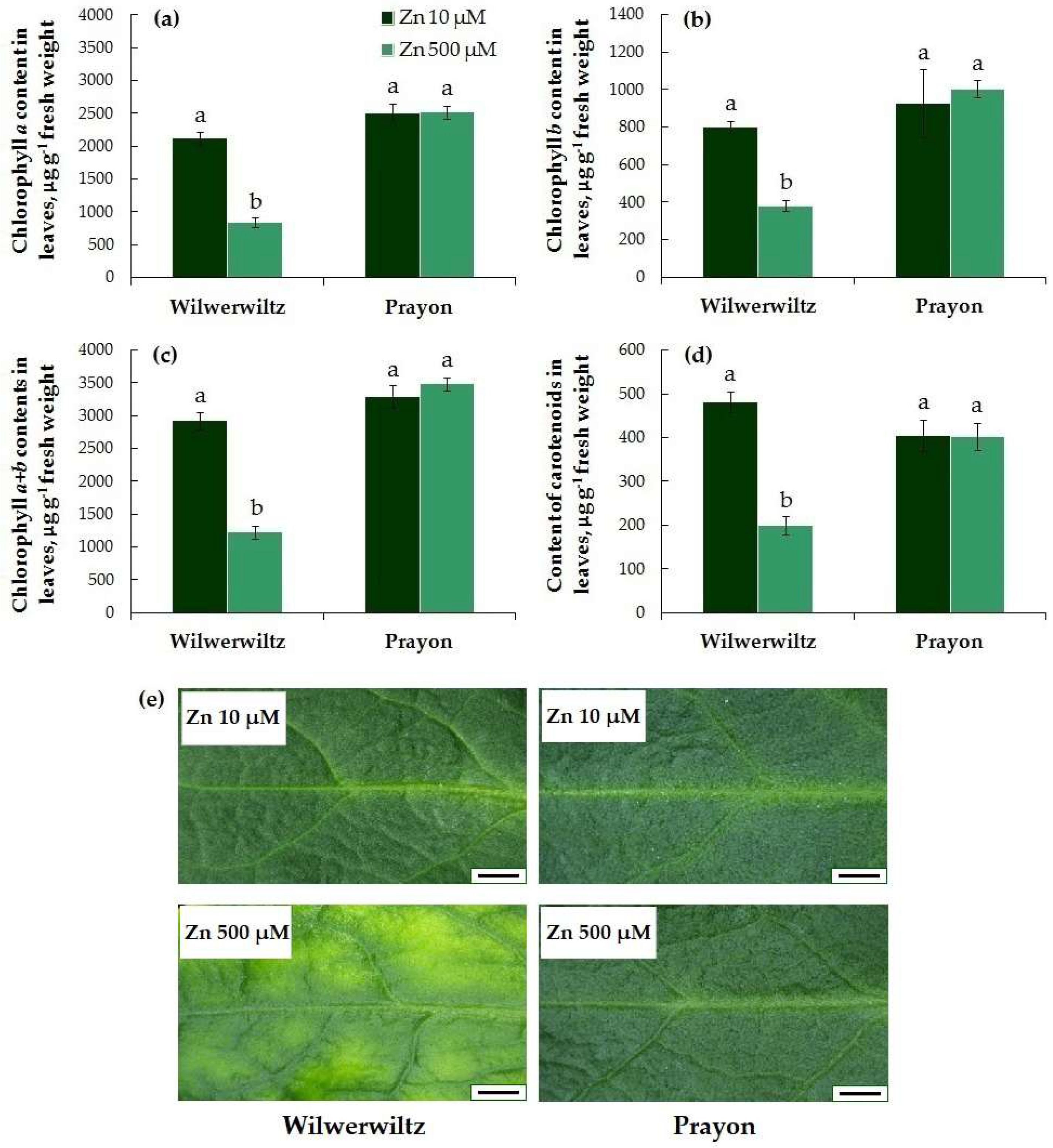 Plants 14 01975 g003