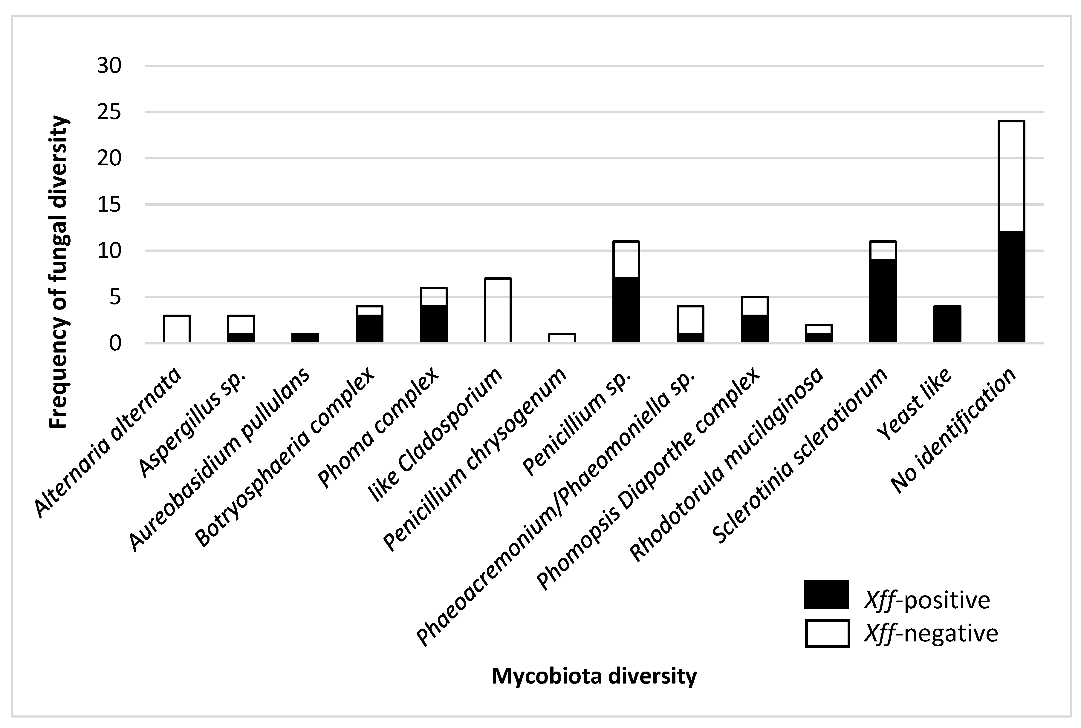 Plants 14 01976 g001