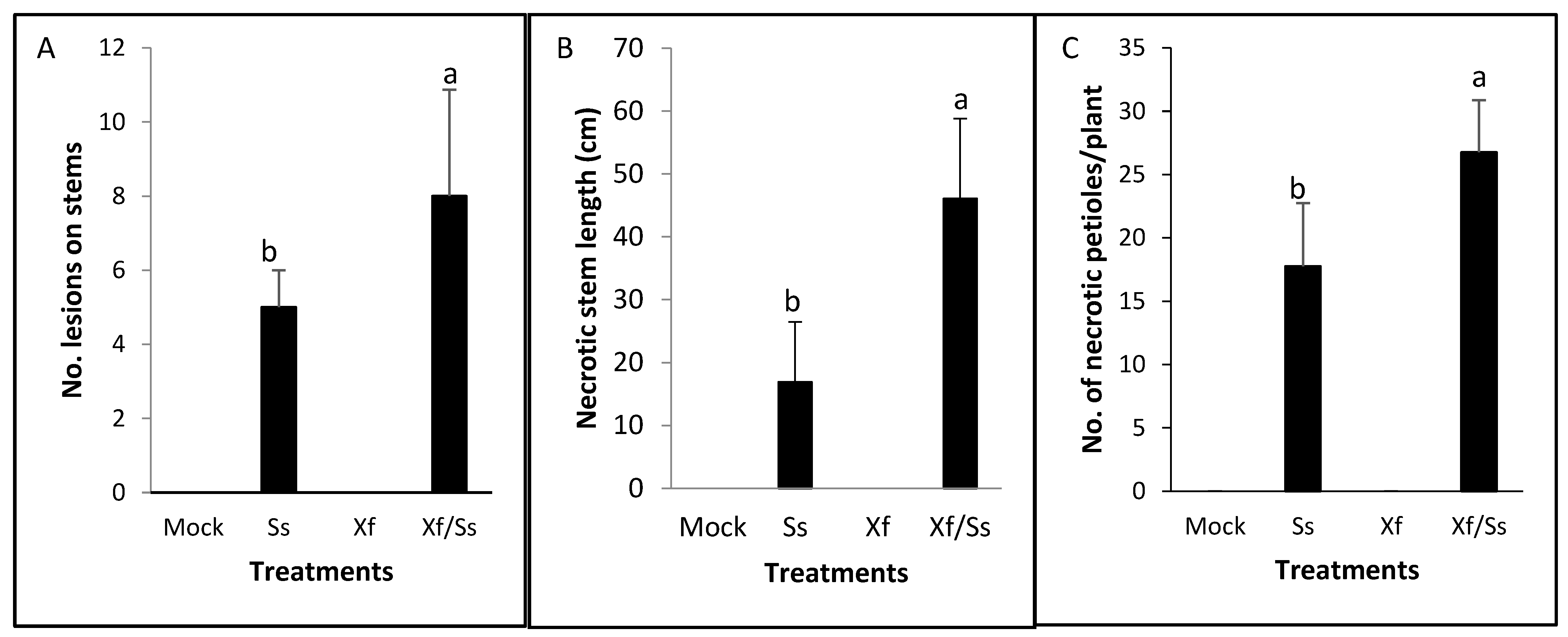 Plants 14 01976 g004