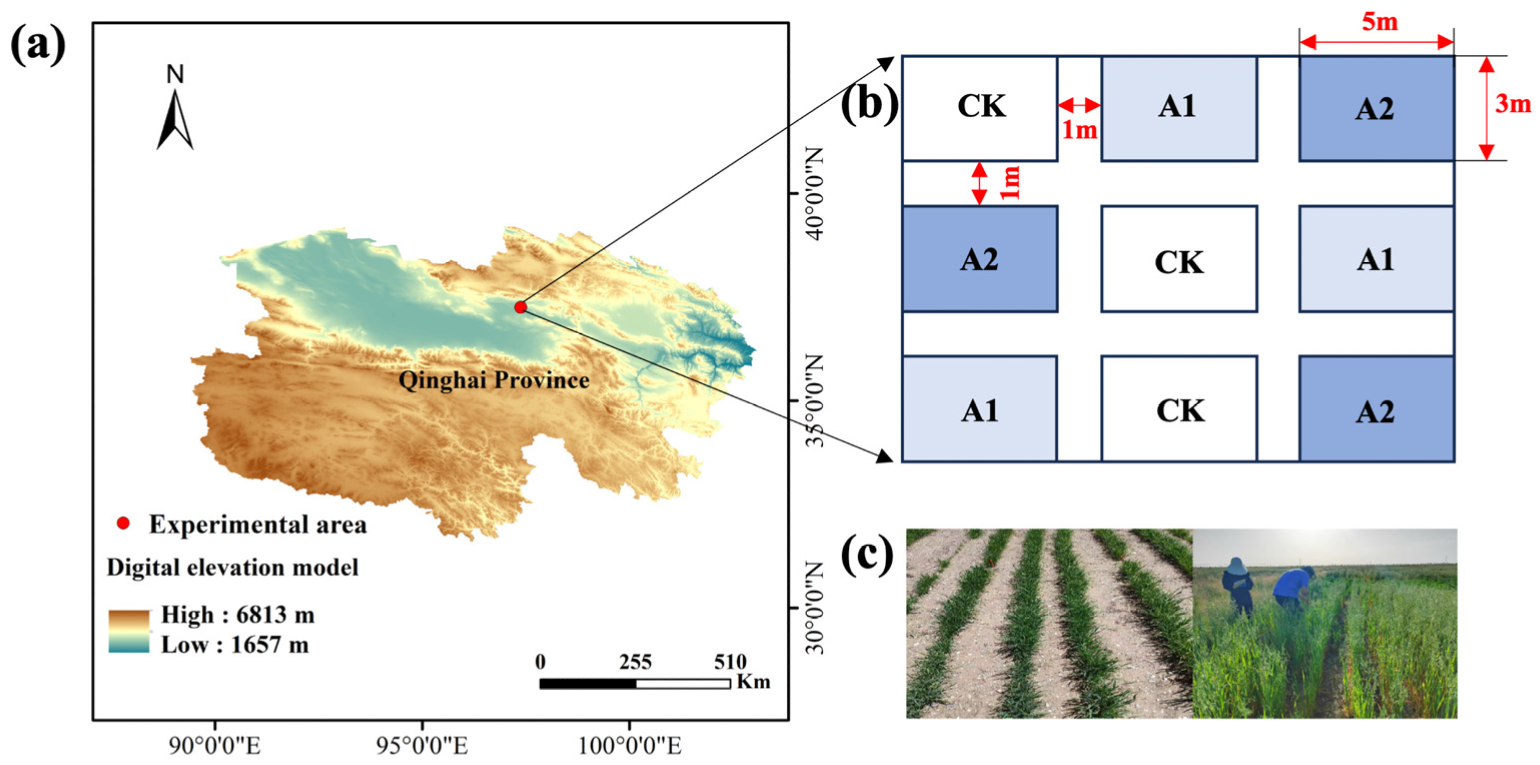 Plants 14 01982 g001