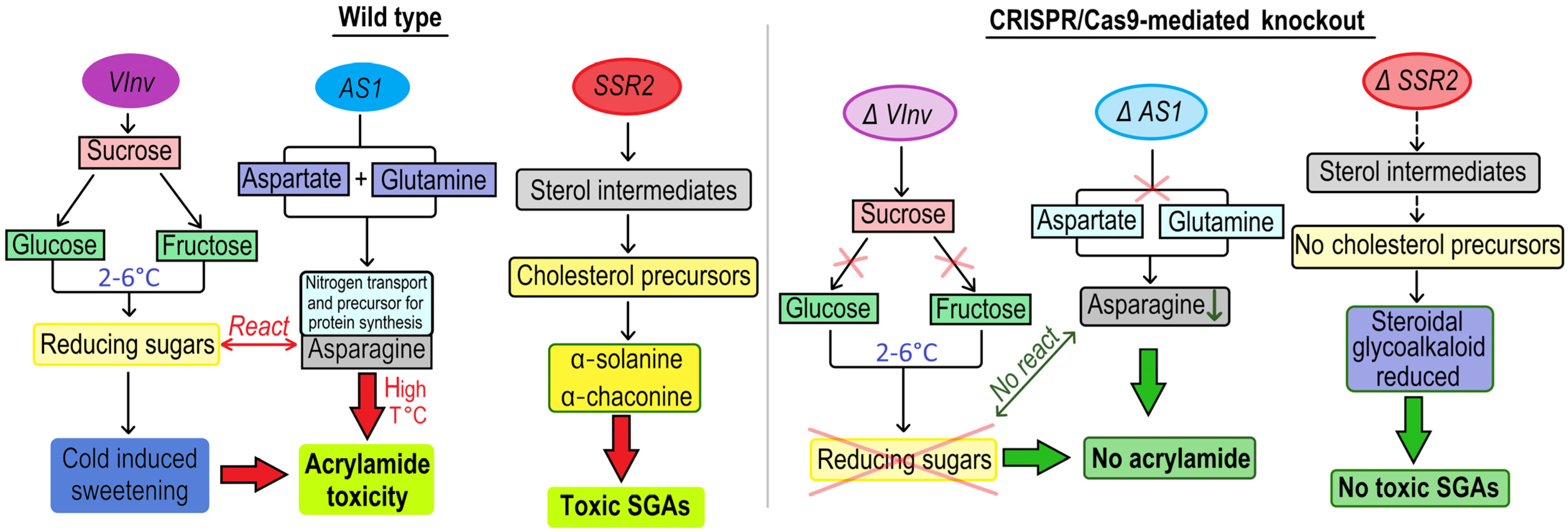 Plants 14 01983 g007