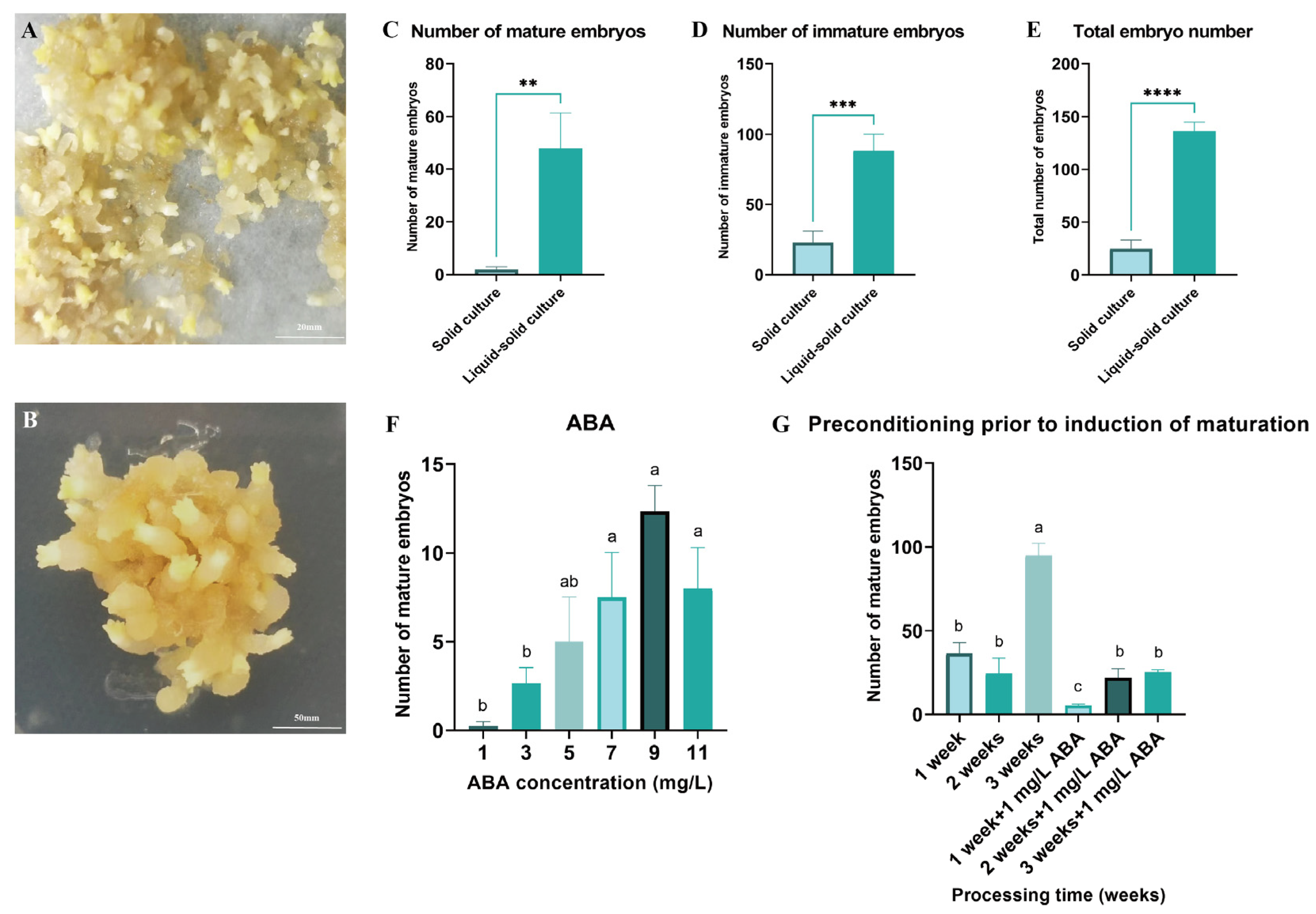 Plants 14 01985 g003