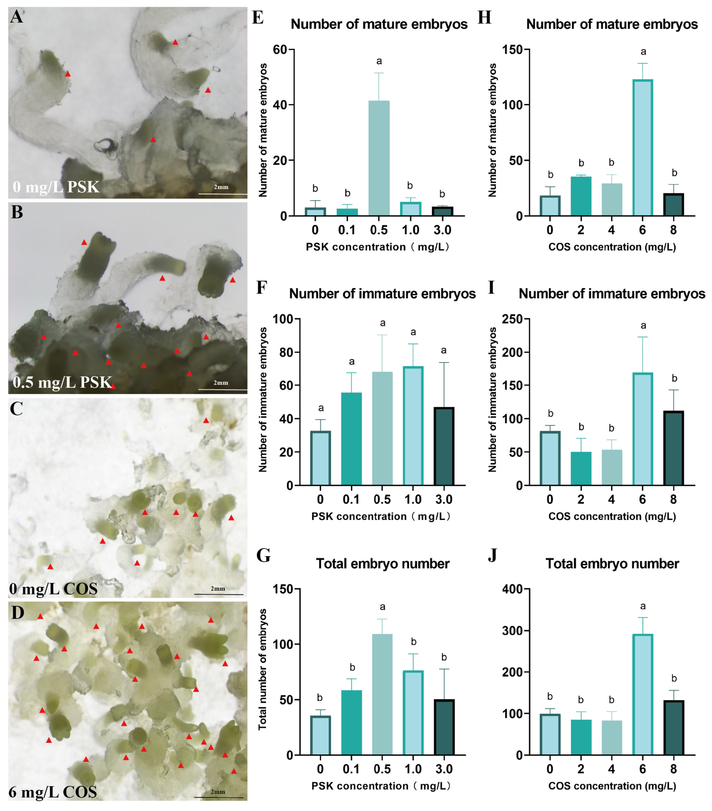 Plants 14 01985 g004