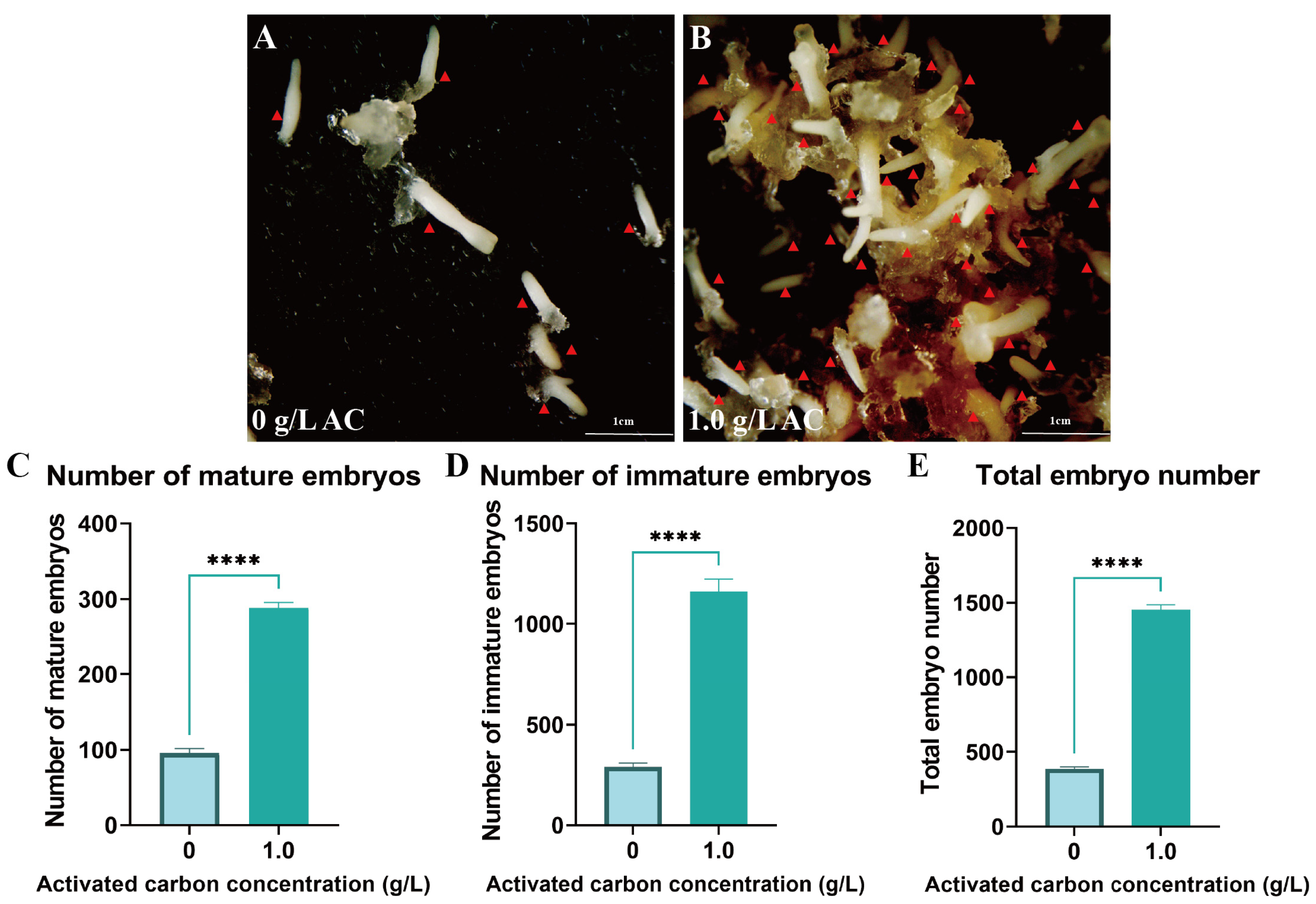 Plants 14 01985 g005