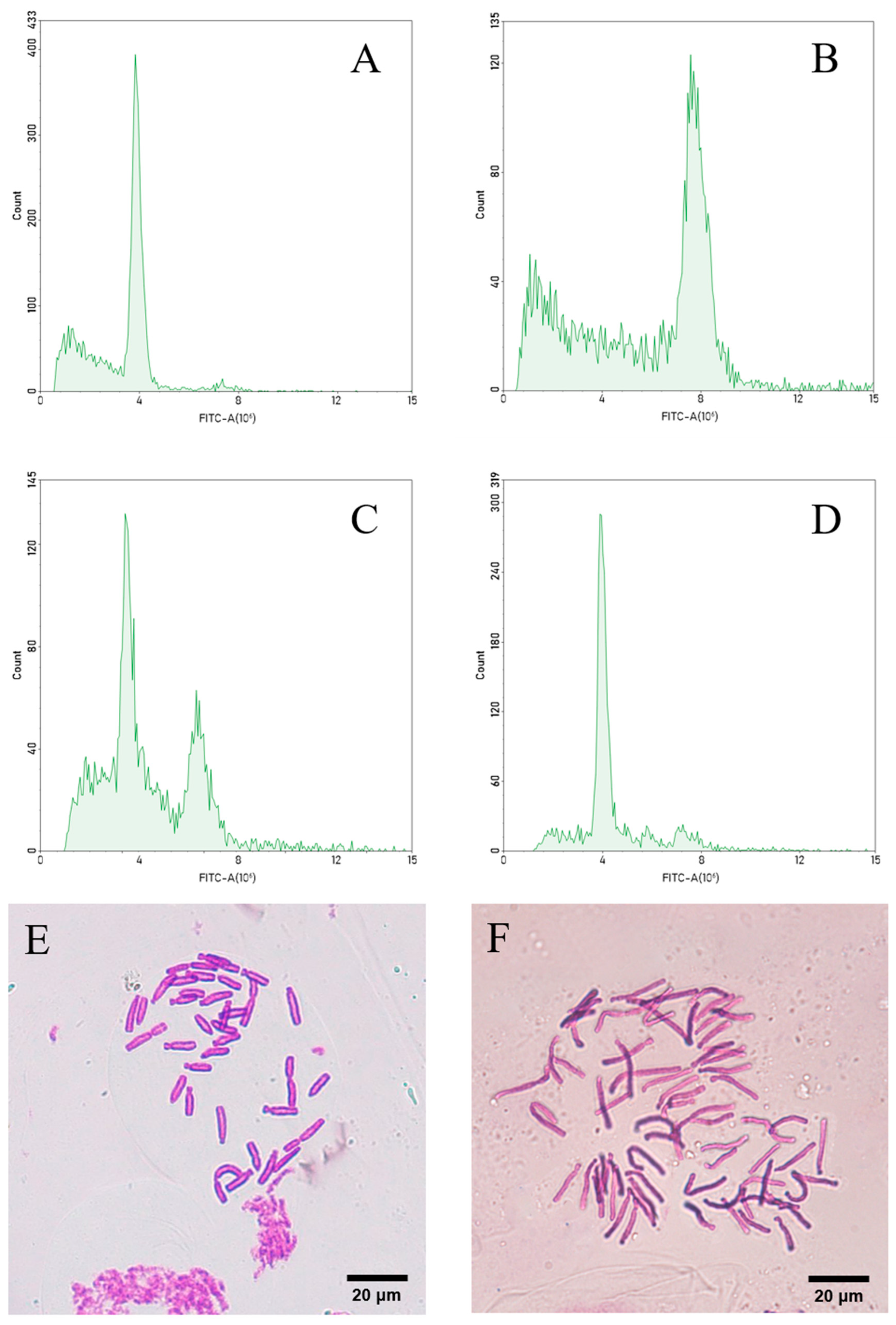 Plants 14 01987 g004
