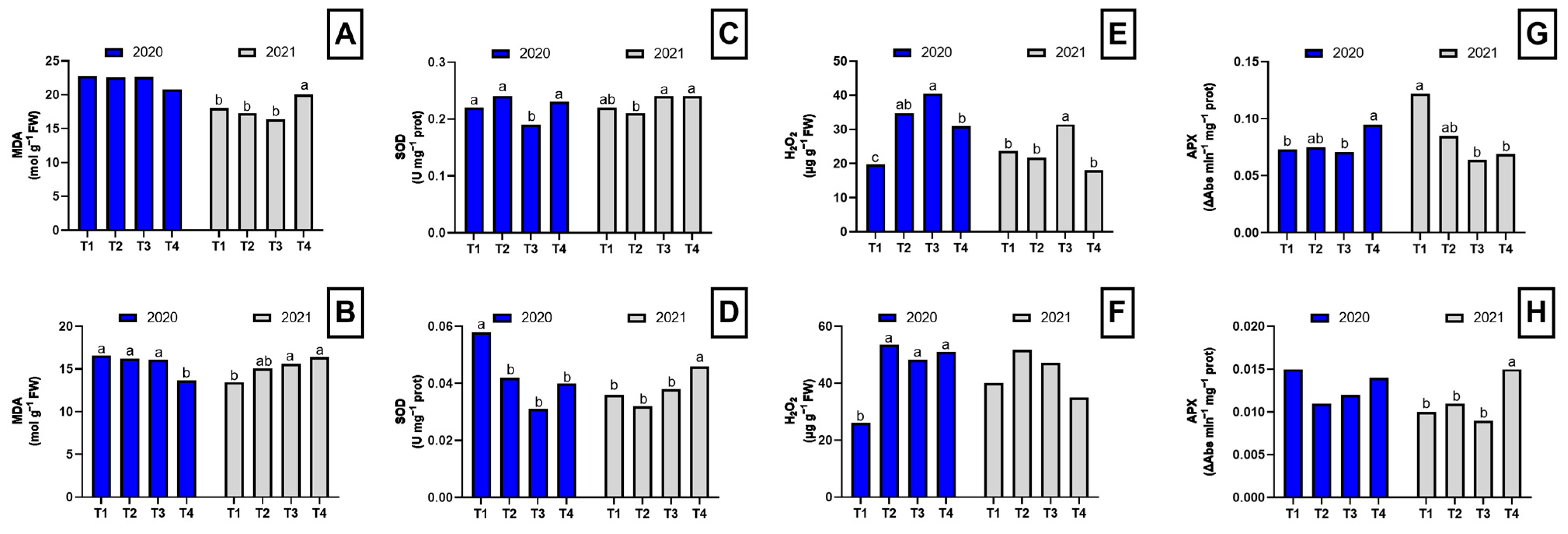 Plants 14 01992 g002