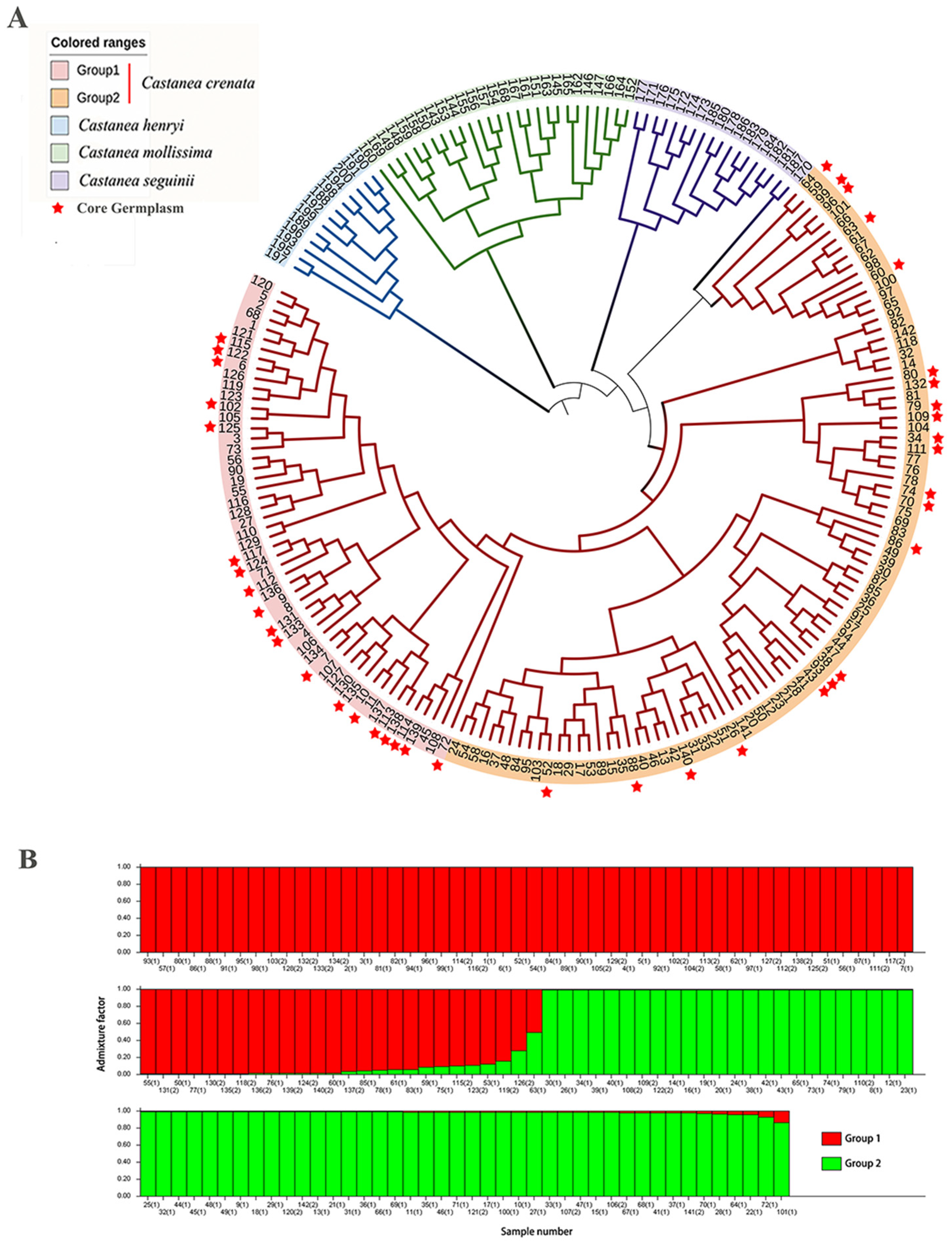 Plants 14 01998 g001