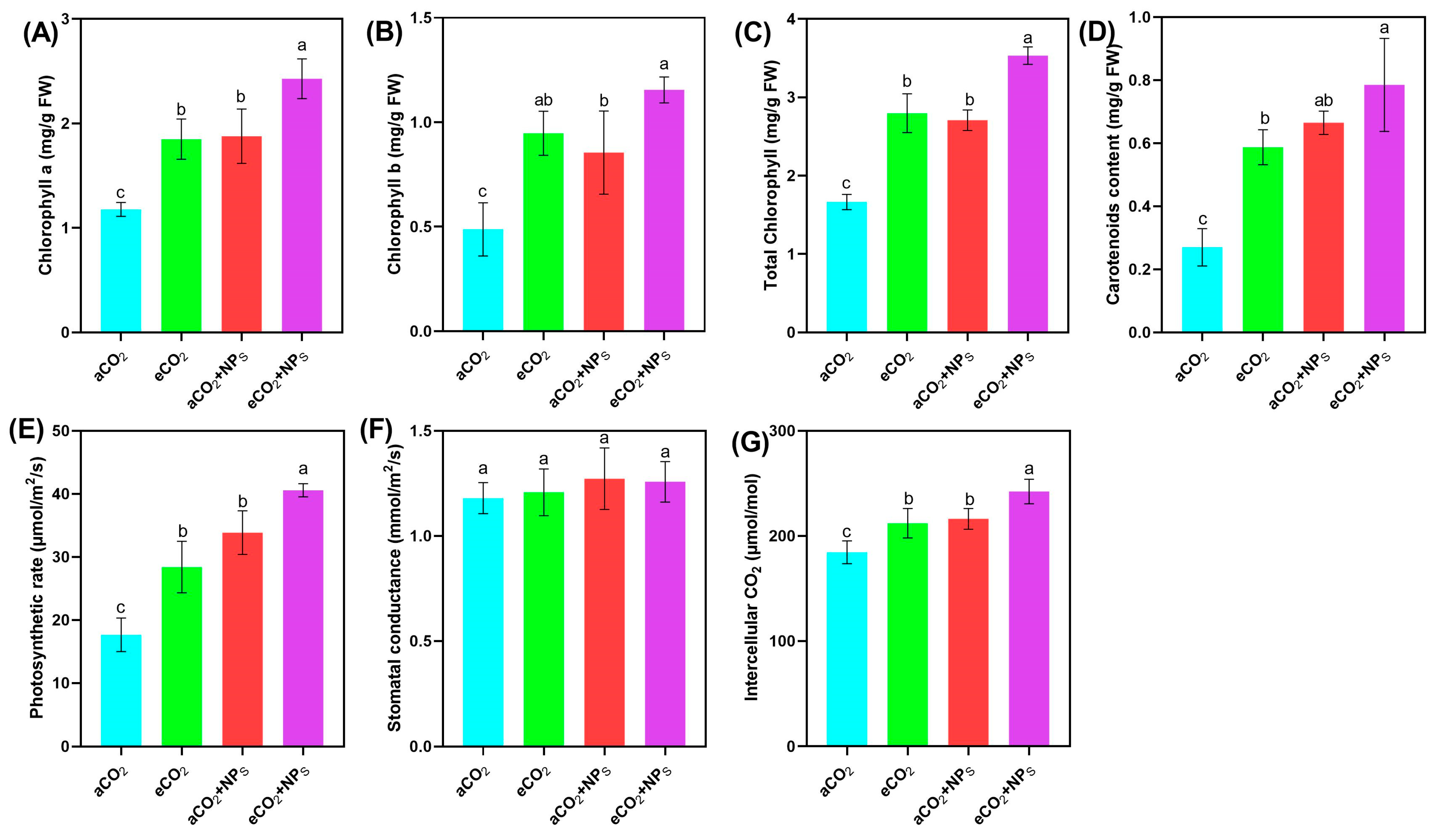 Plants 14 02009 g002