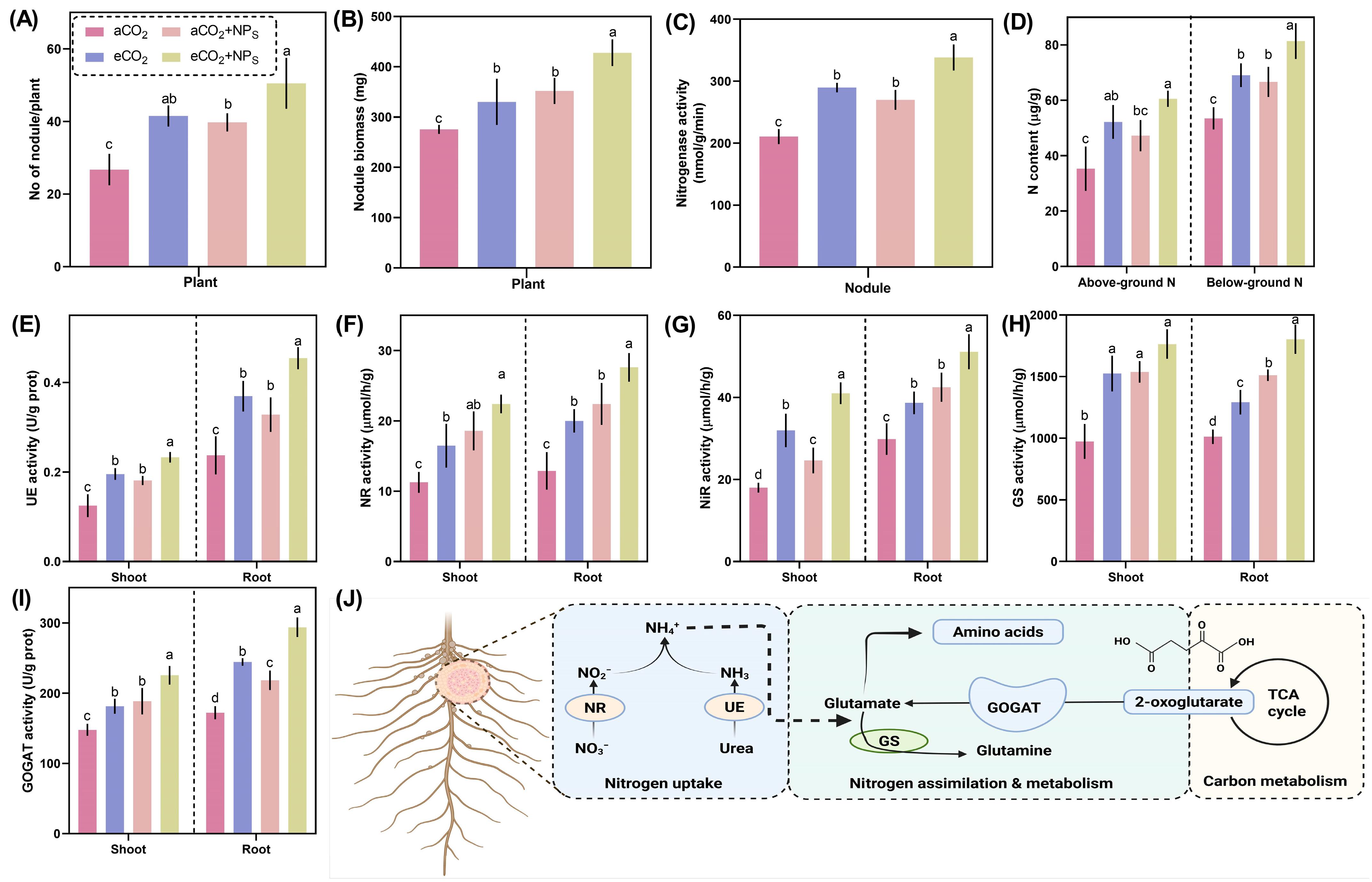 Plants 14 02009 g005