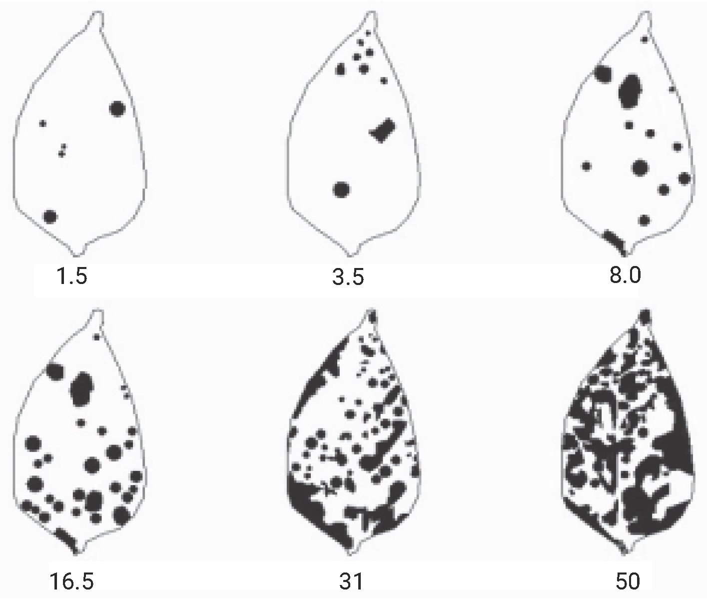 Plants 14 02011 g005