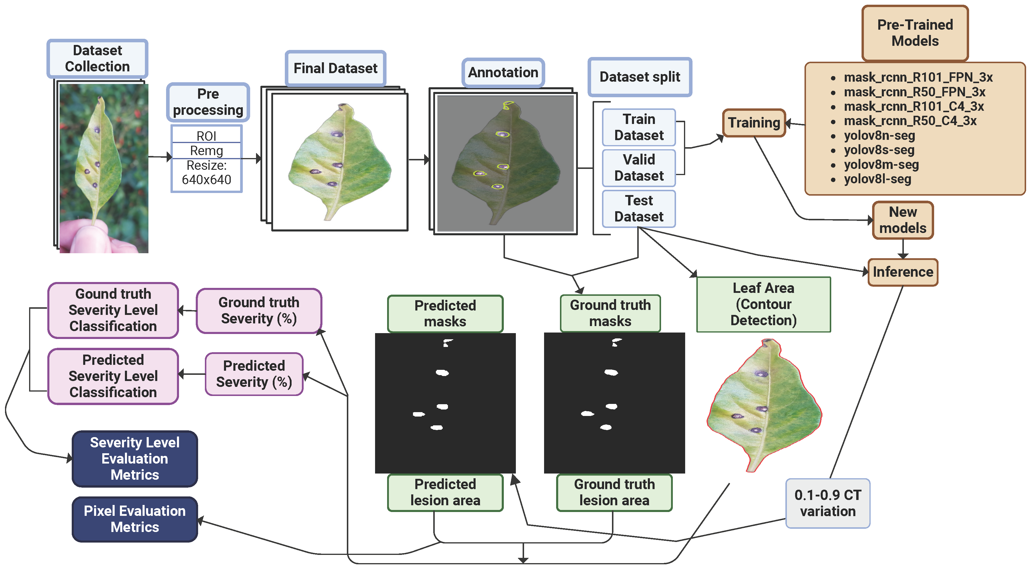Plants 14 02011 g006