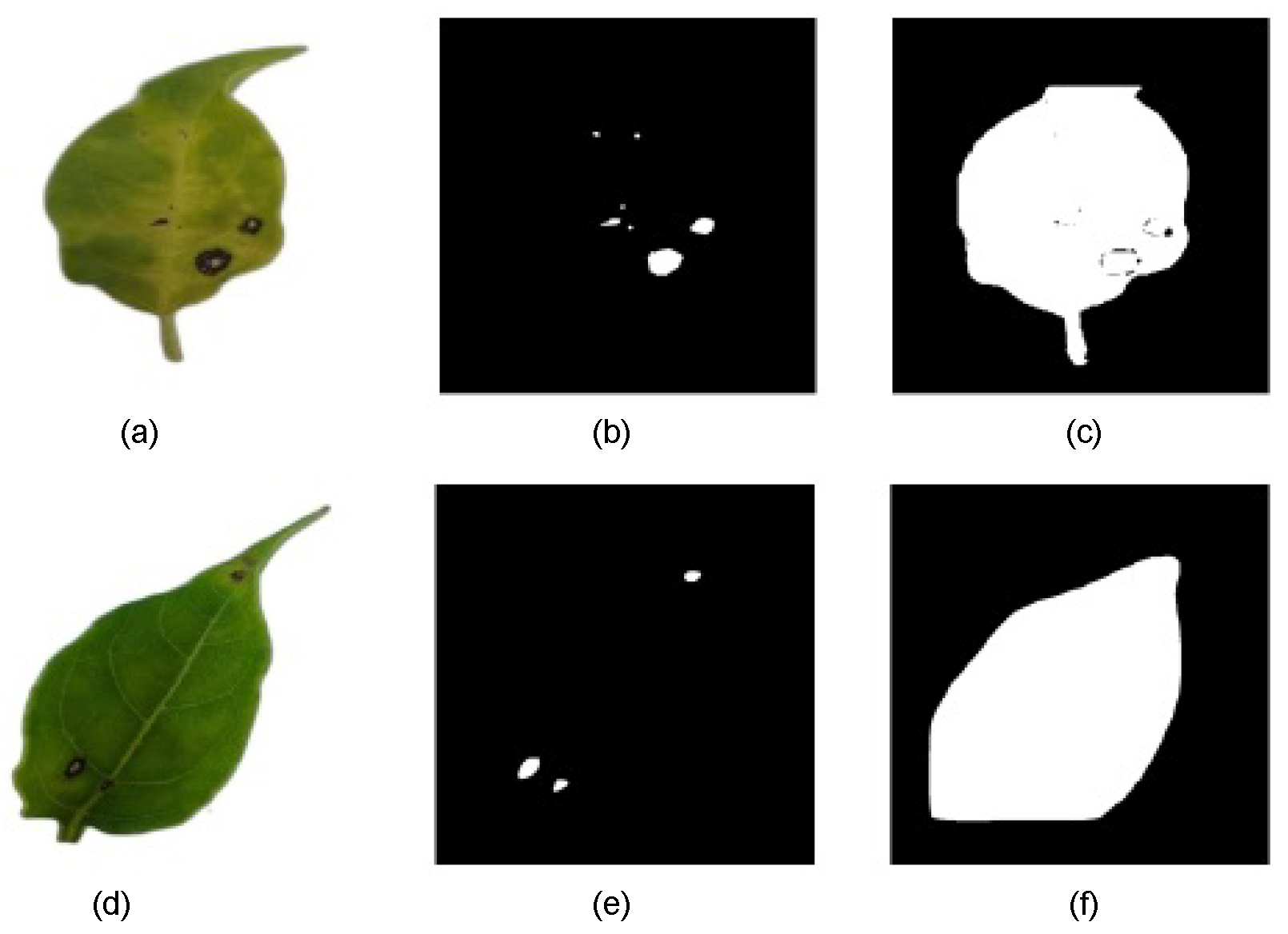 Plants 14 02011 g007