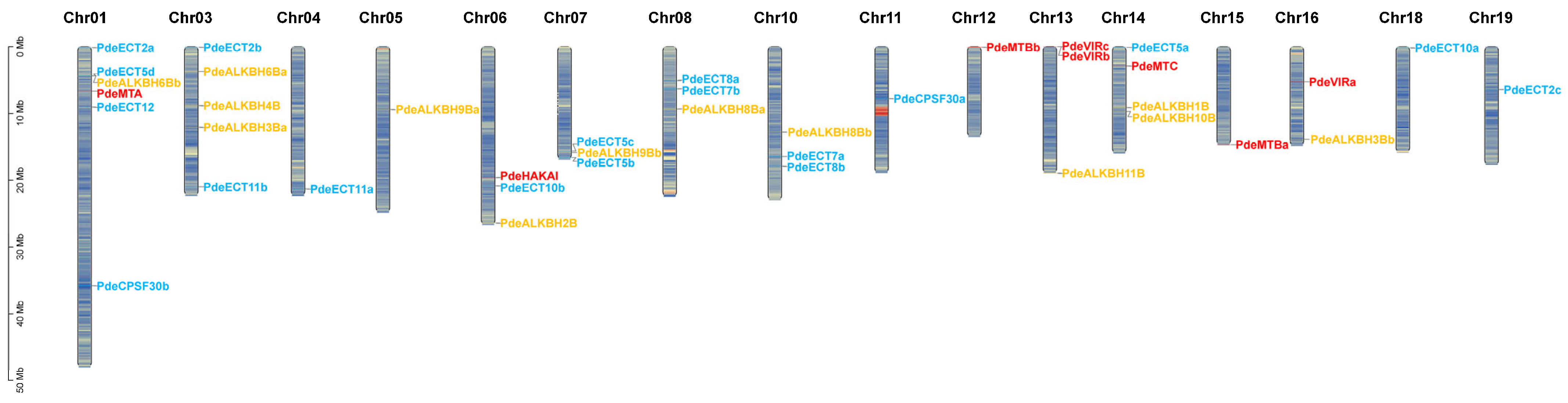 Plants 14 02017 g001