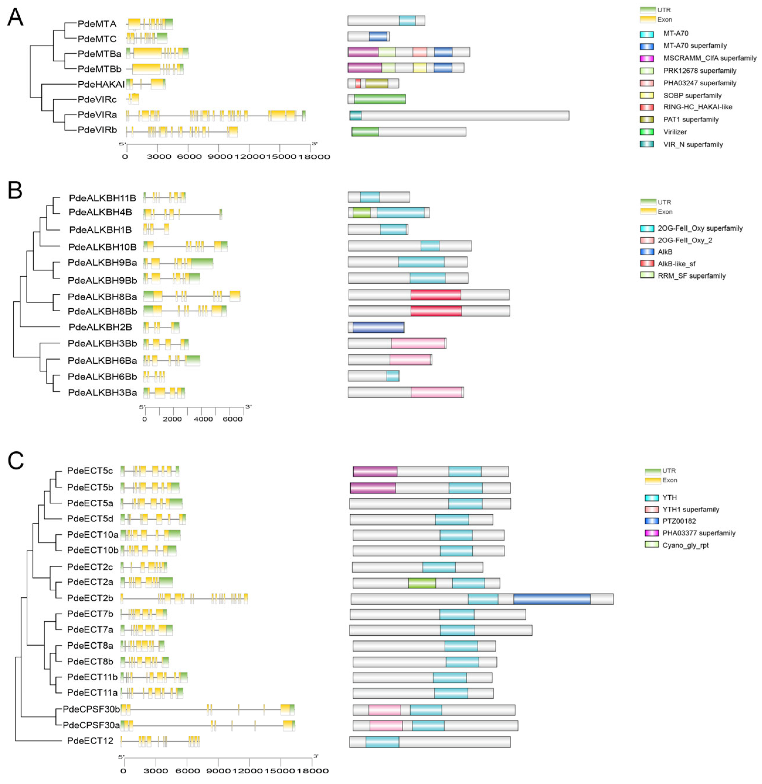Plants 14 02017 g003