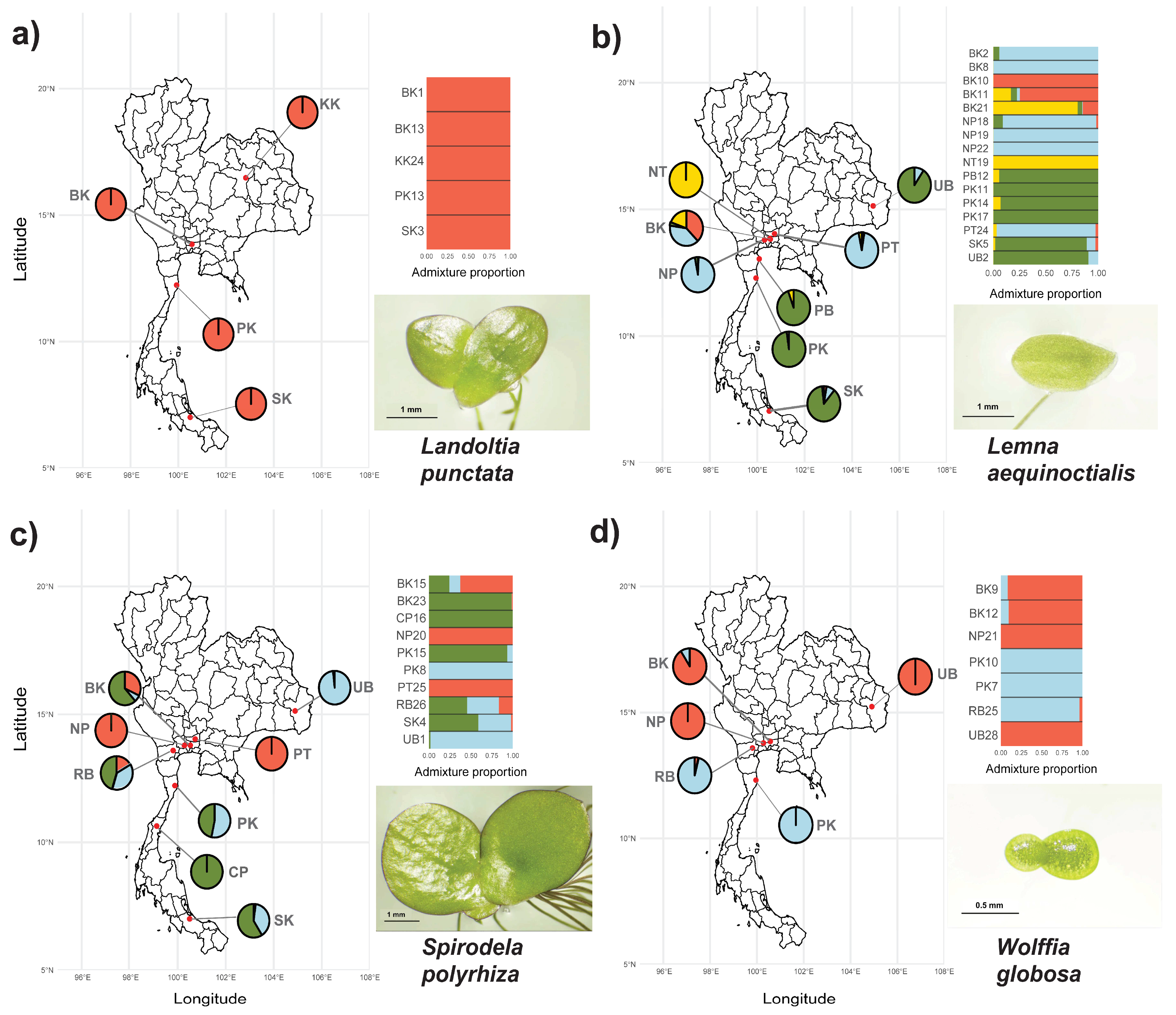 Plants 14 02030 g002