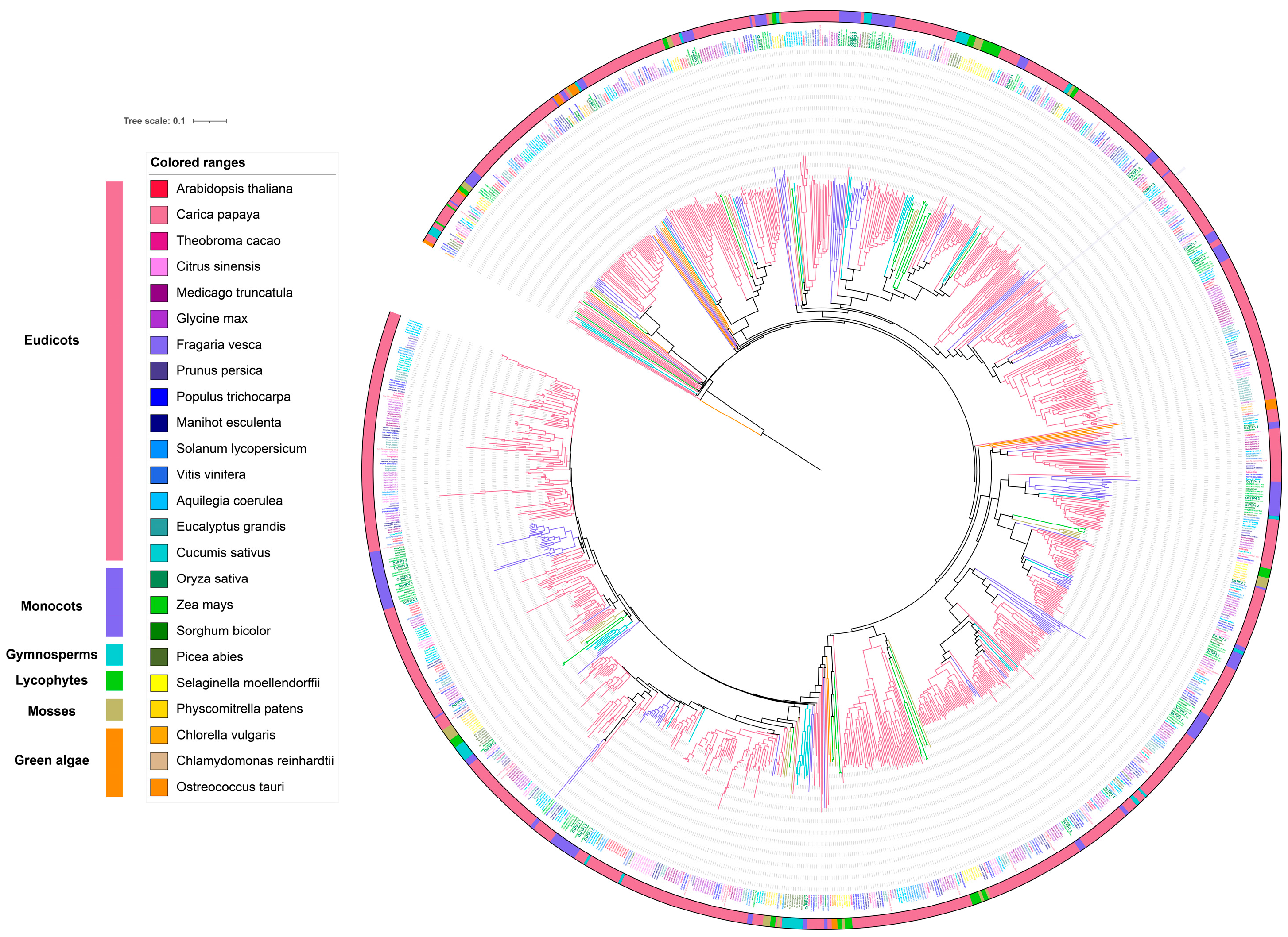 Plants 14 02035 g002