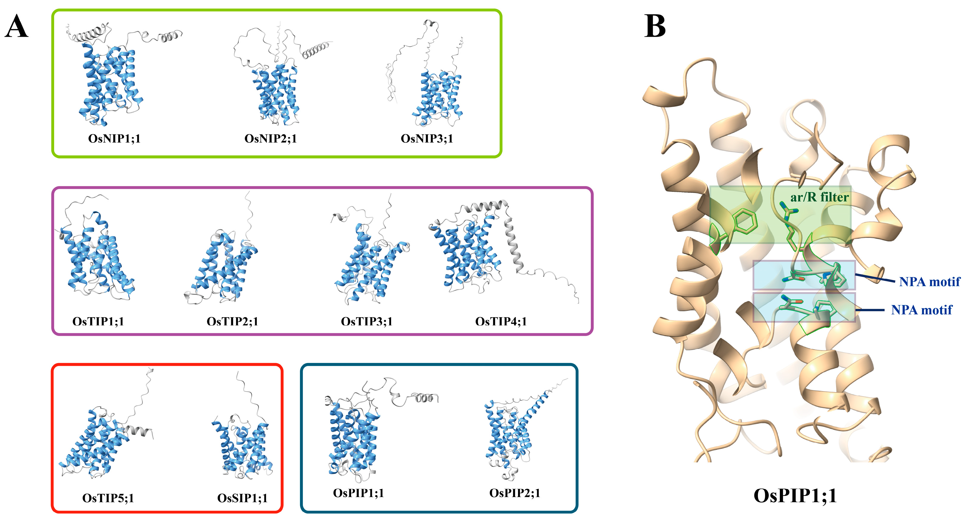 Plants 14 02035 g003