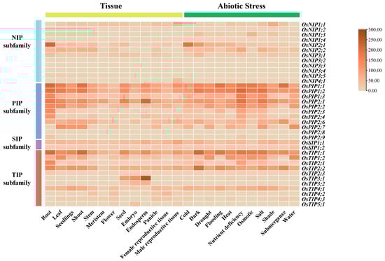 Plants 14 02035 g004