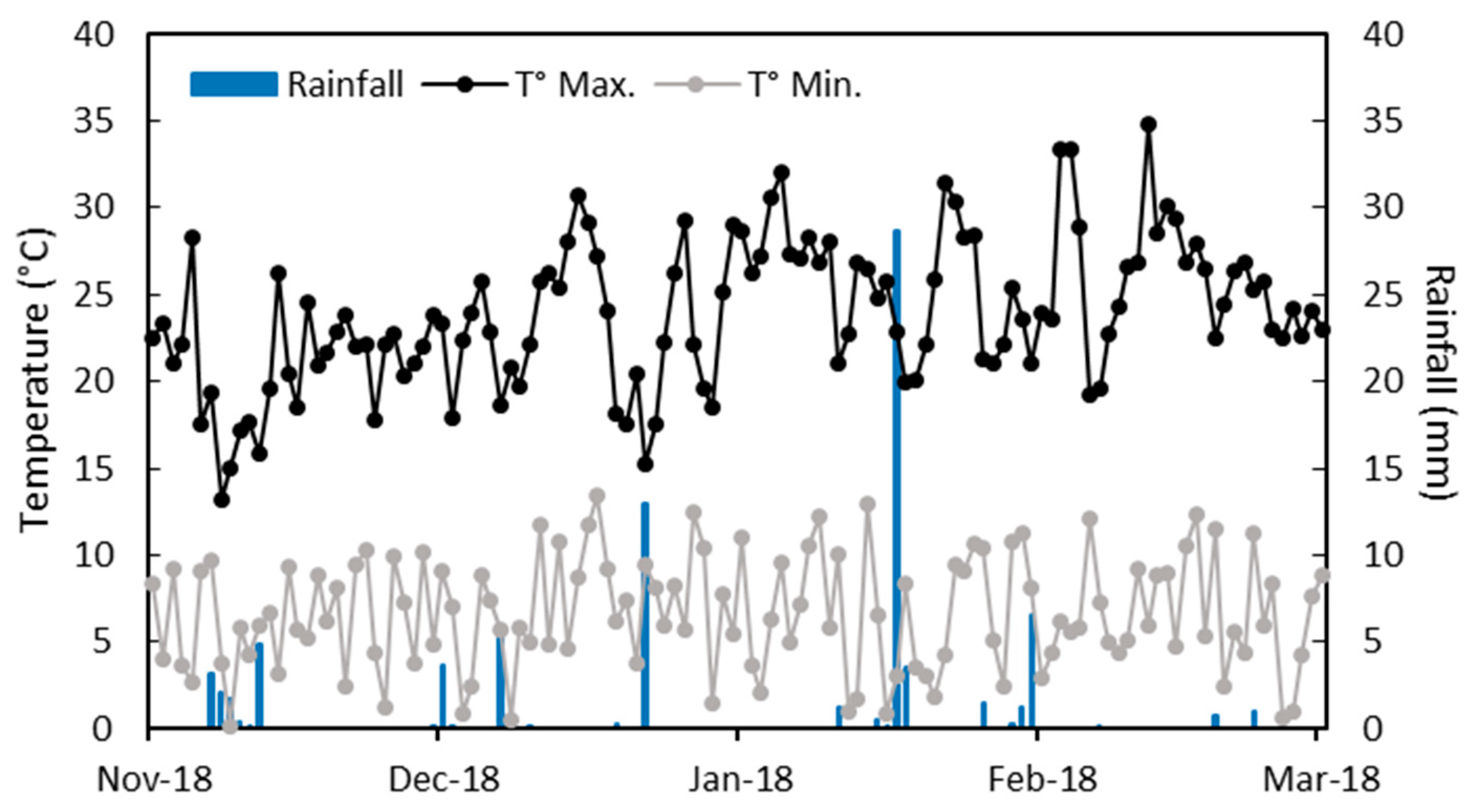 Plants 14 02037 g001